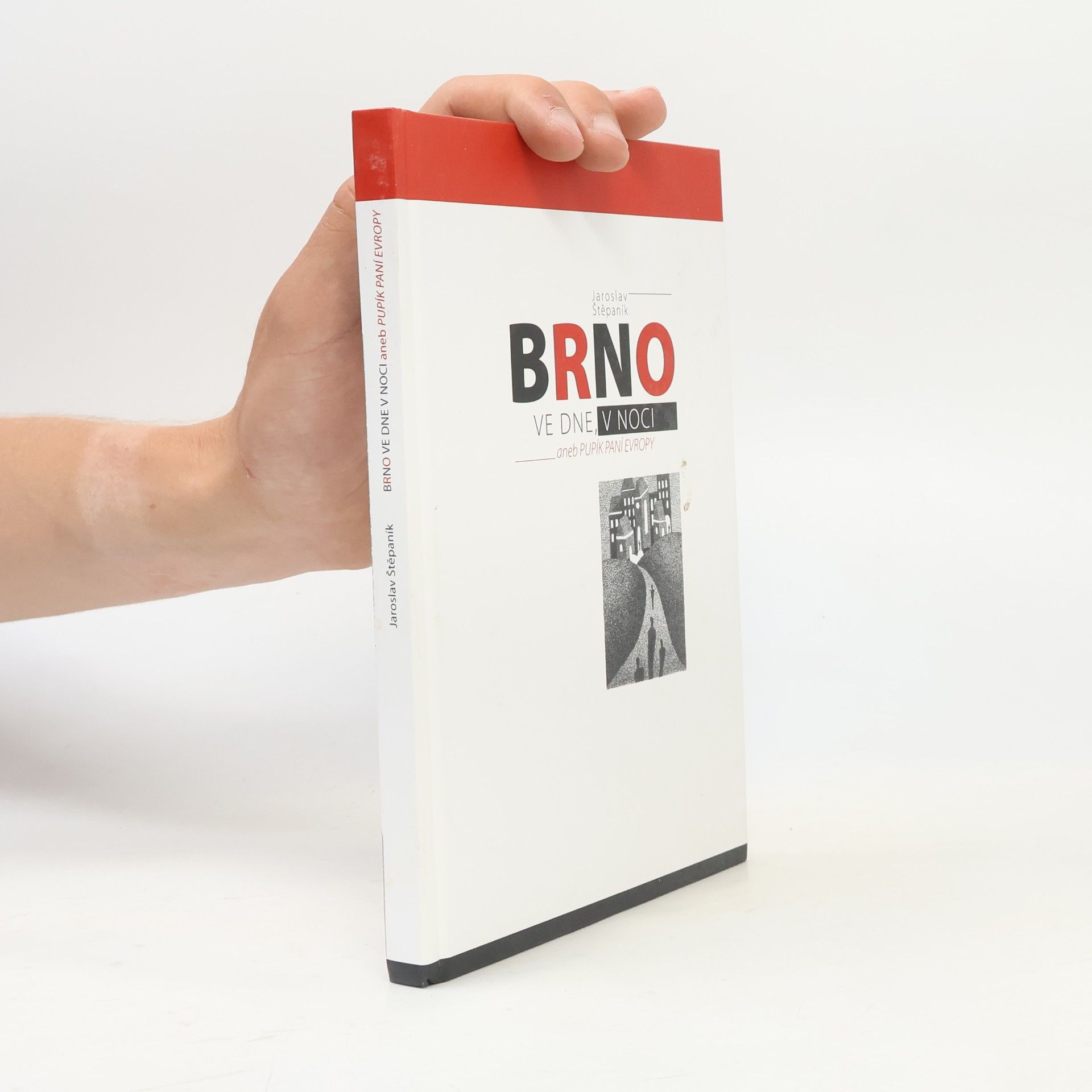 Brno ve dne, v noci, aneb, Pupík paní Evropy