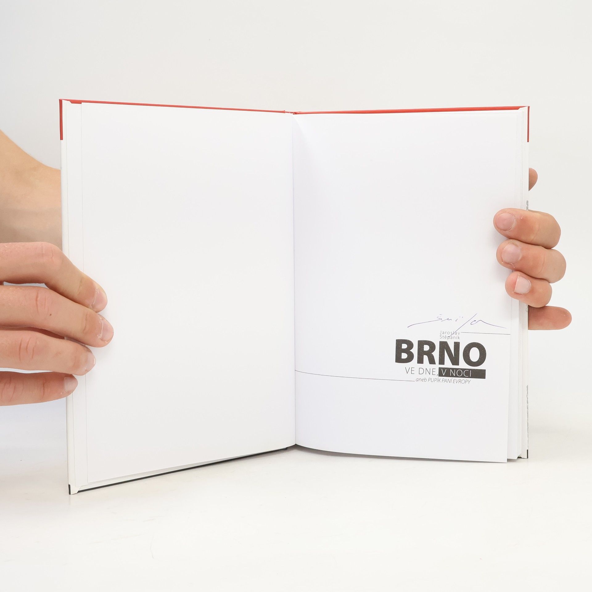 Jaroslav Štěpaník Brno ve dne, v noci, aneb, Pupík paní Evropy