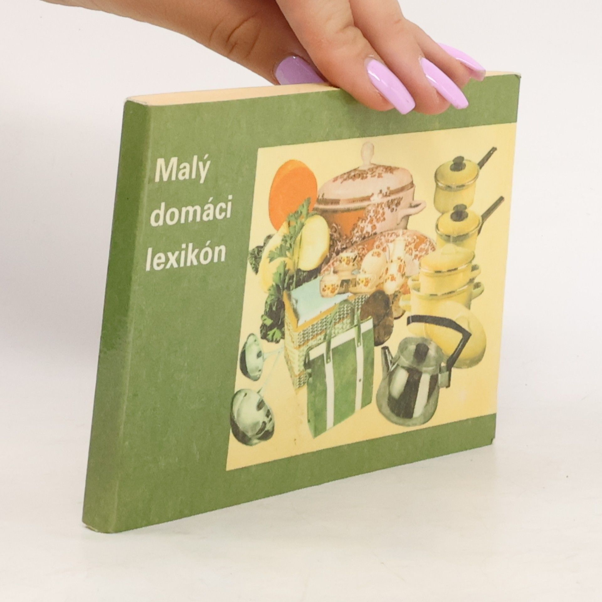 Jiří Bílek Malý domáci lexikon