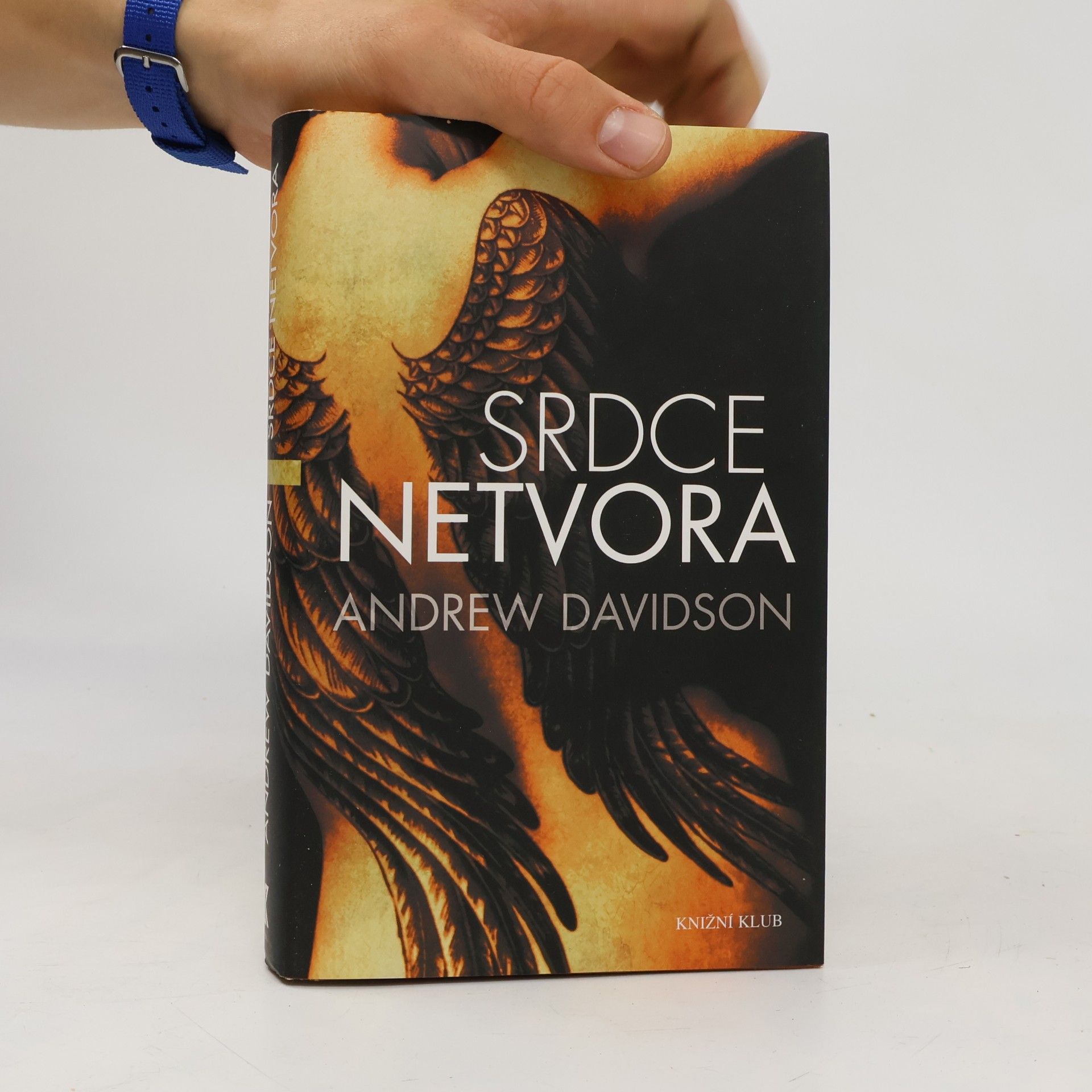 Andrew Davidson Srdce netvora