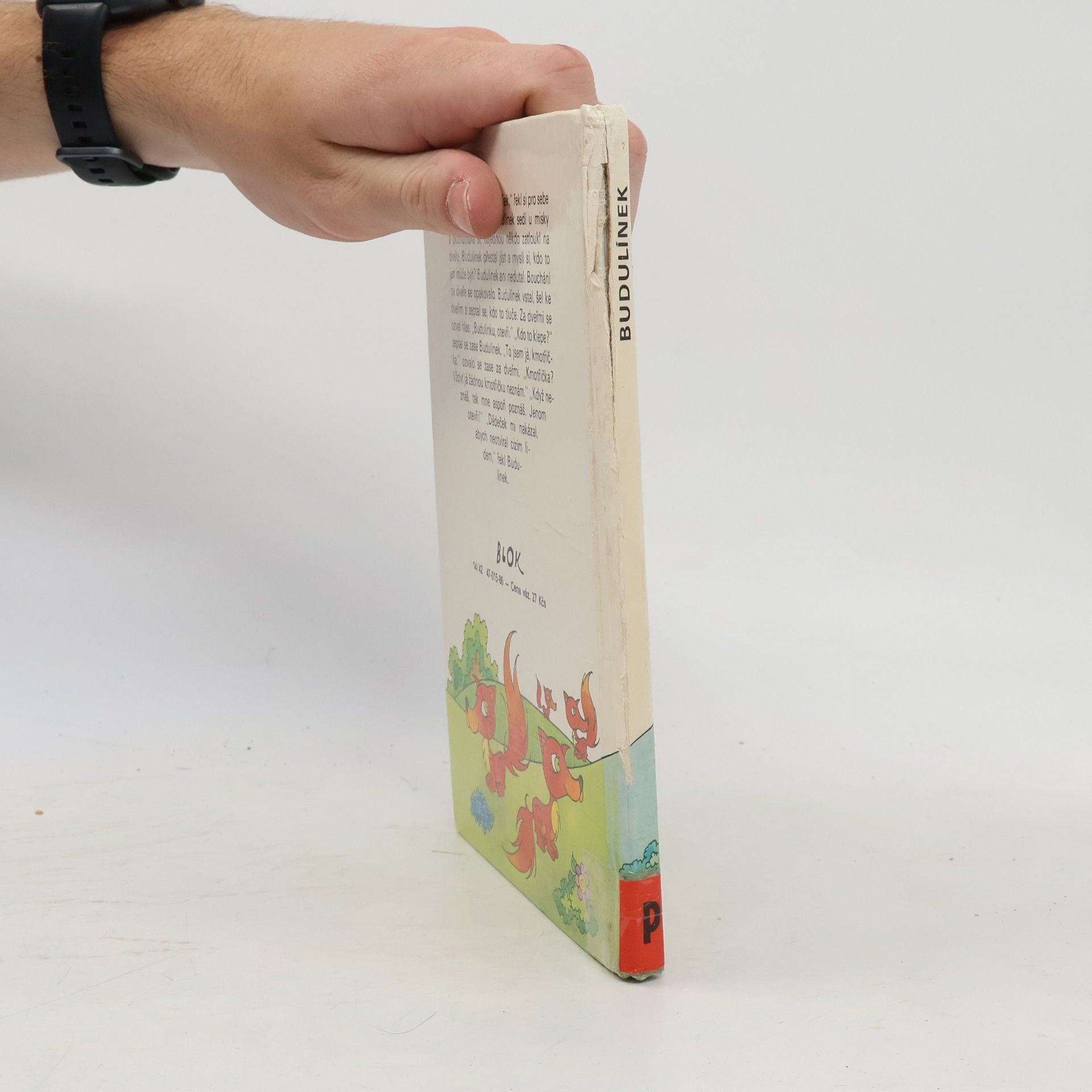 František Hrubín Budulínek