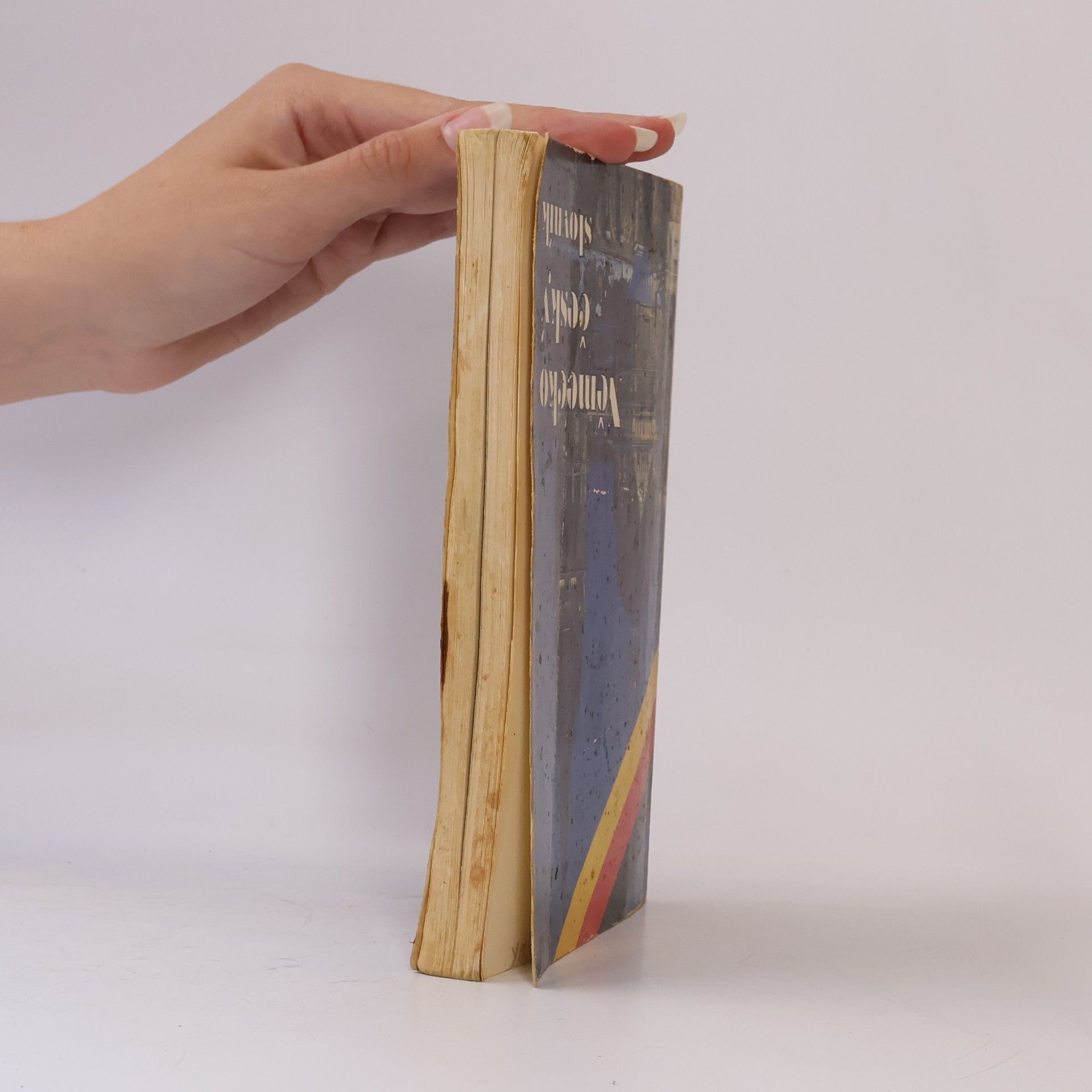 Various authors Česko německý slovník