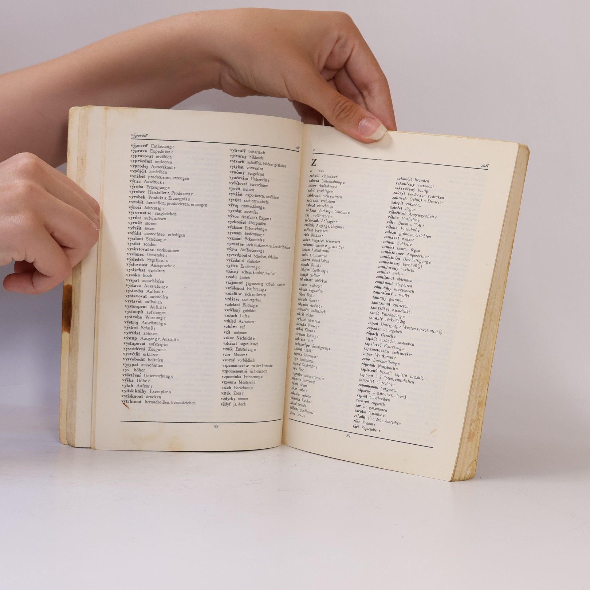 Various authors Česko německý slovník