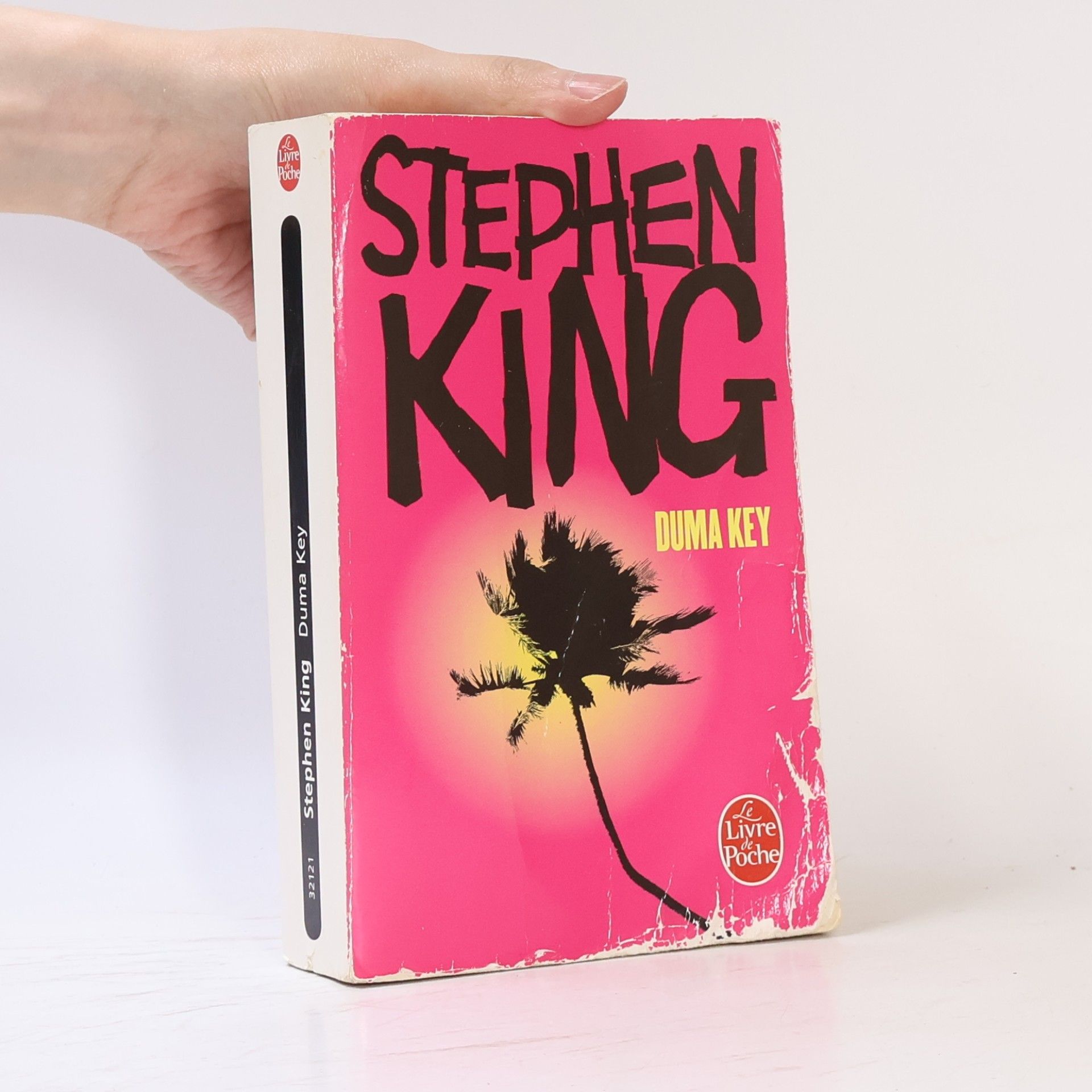 Stephen King Duma Key