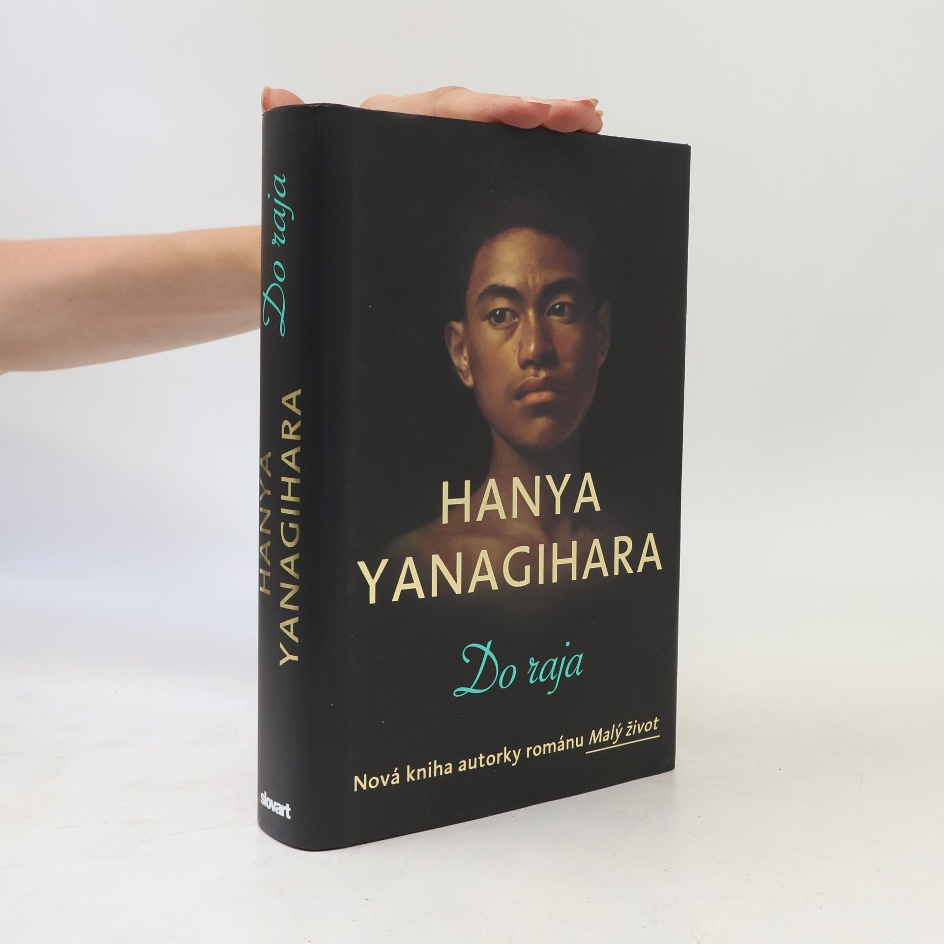 Hanya Yanagihara Do raja