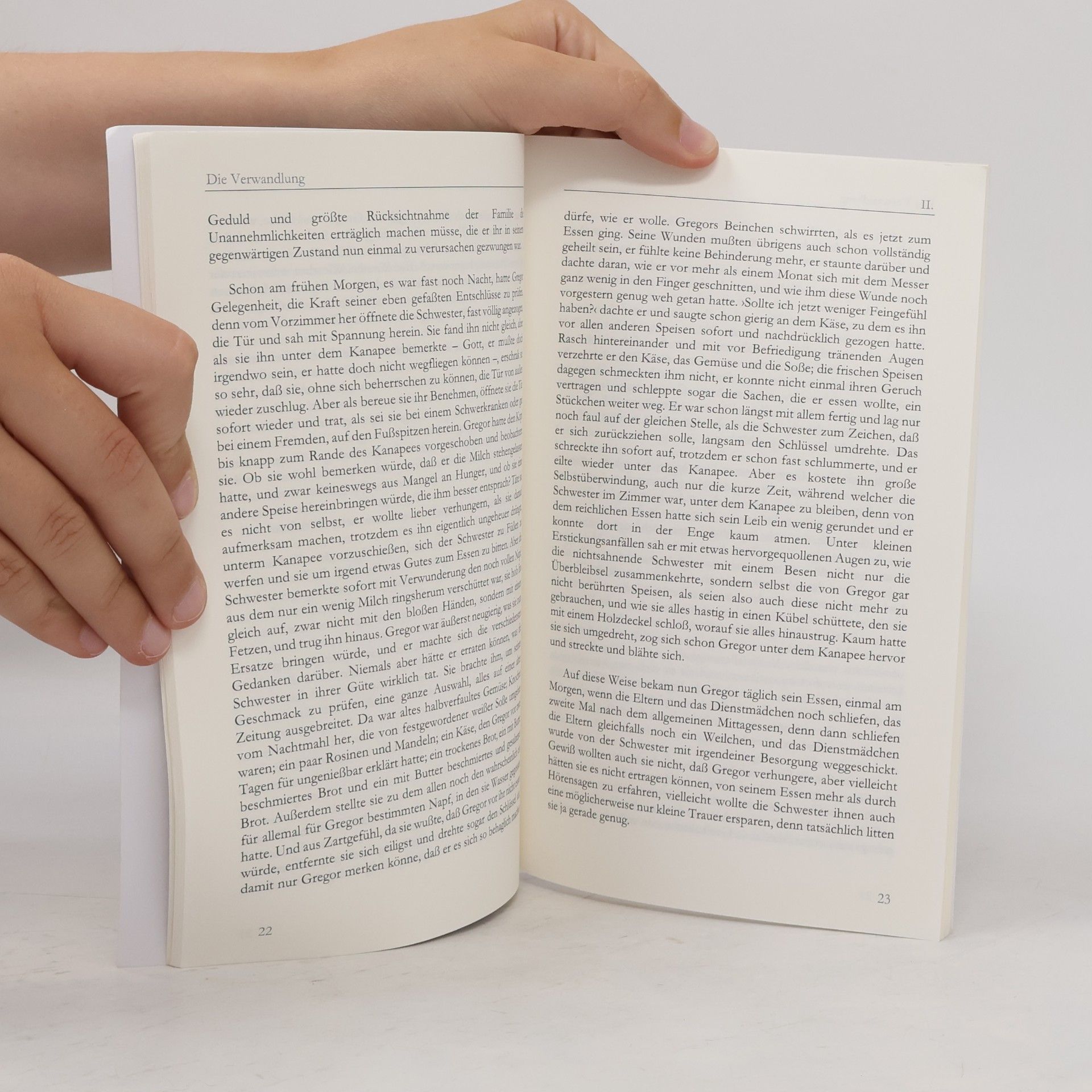Franz Kafka Die Verwandlung: Originalausgabe