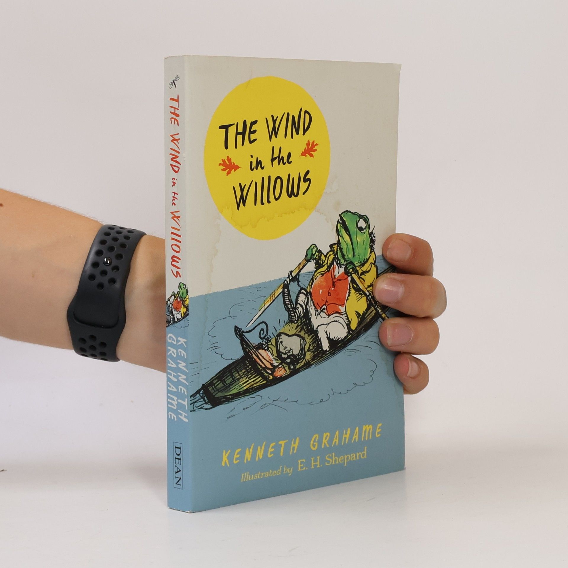 Kenneth Grahame The Wind in the Willows