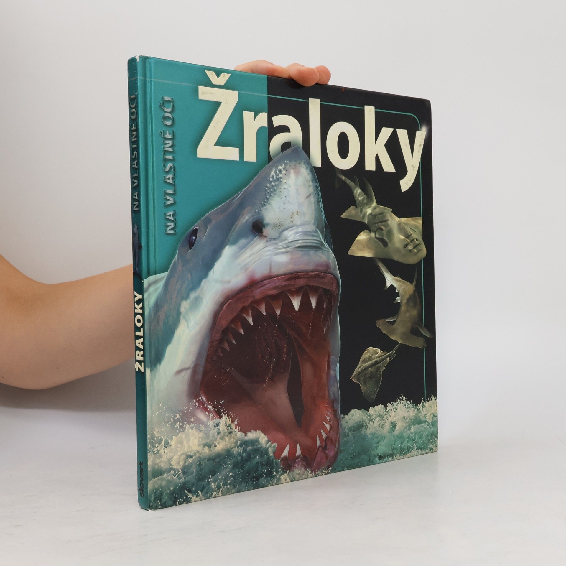 Autores varios Žraloky
