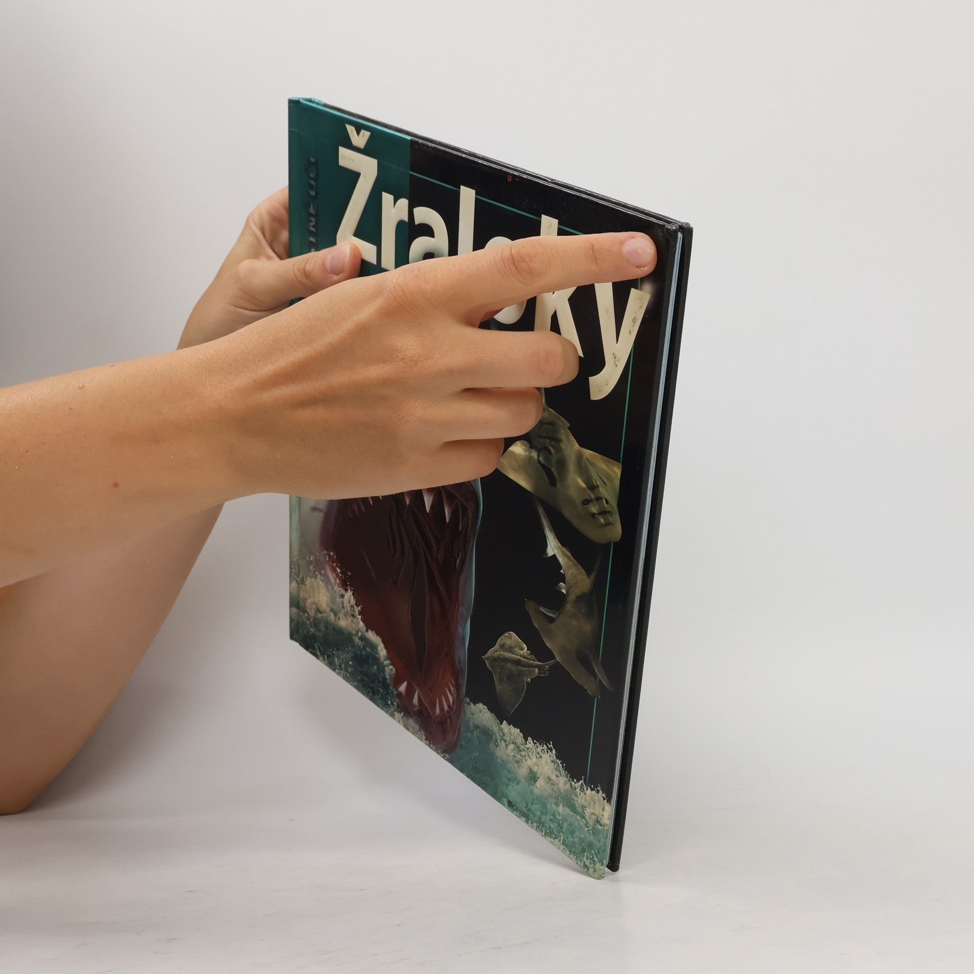 Autores varios Žraloky