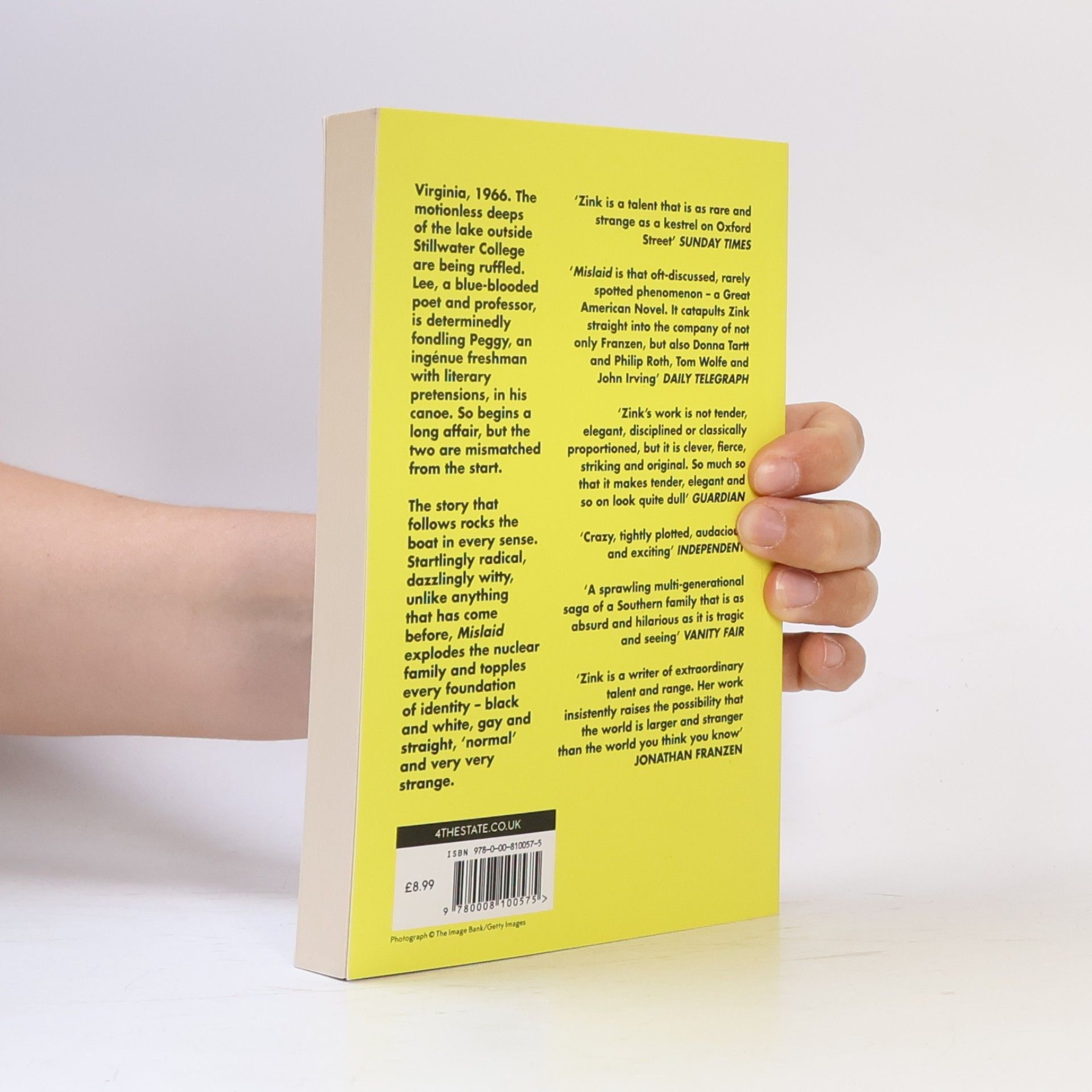Nell Zink Mislaid