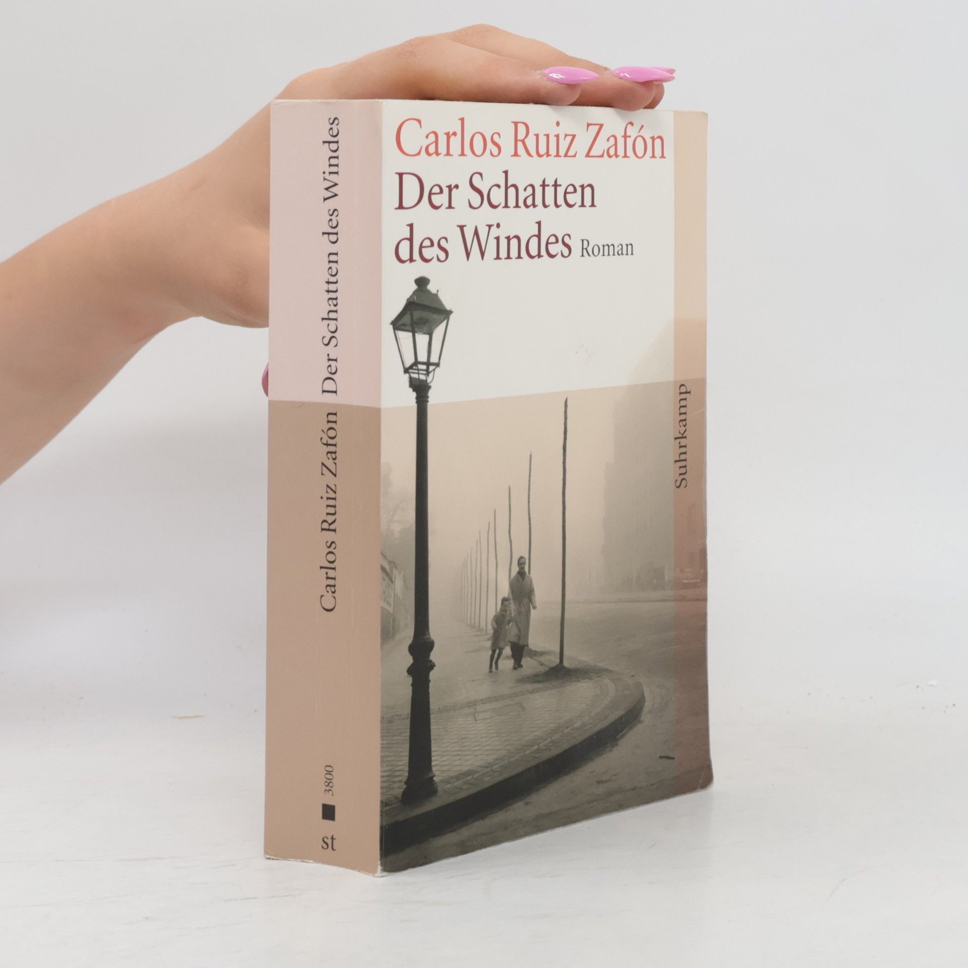 Carlos Ruiz Zafón Der Schatten des Windes