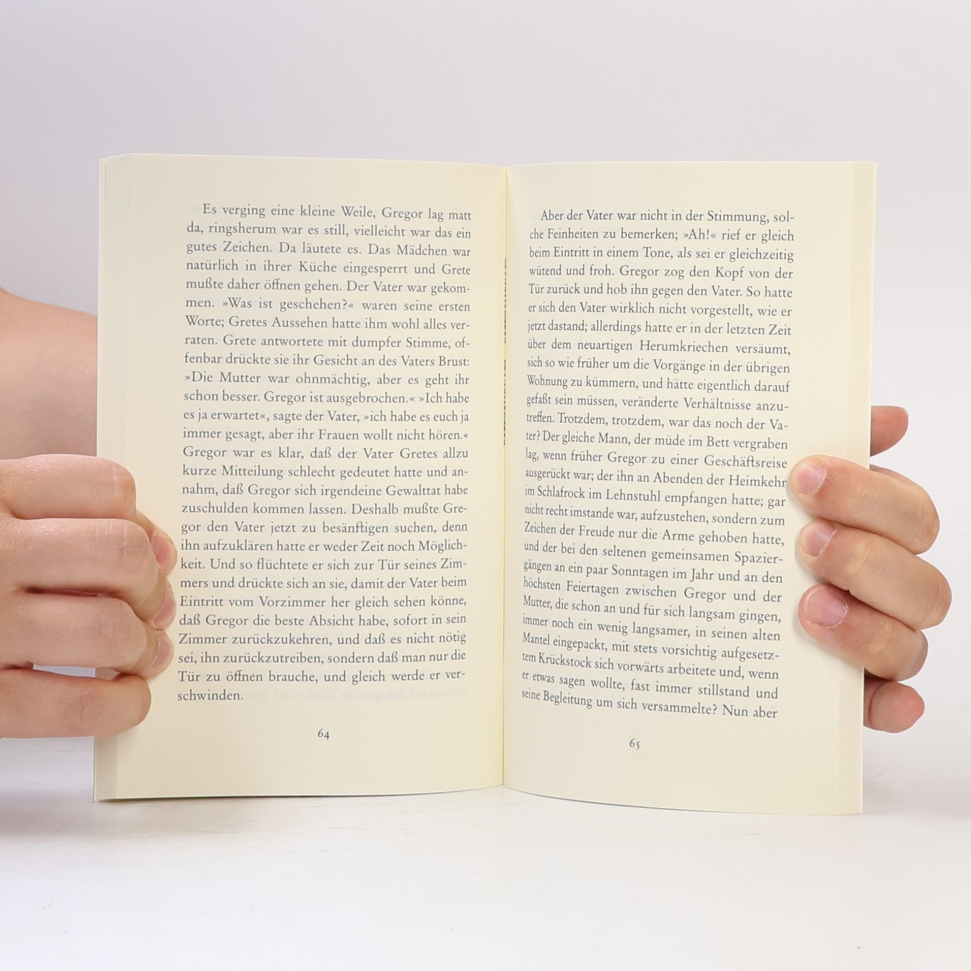 Franz Kafka Die Verwandlung