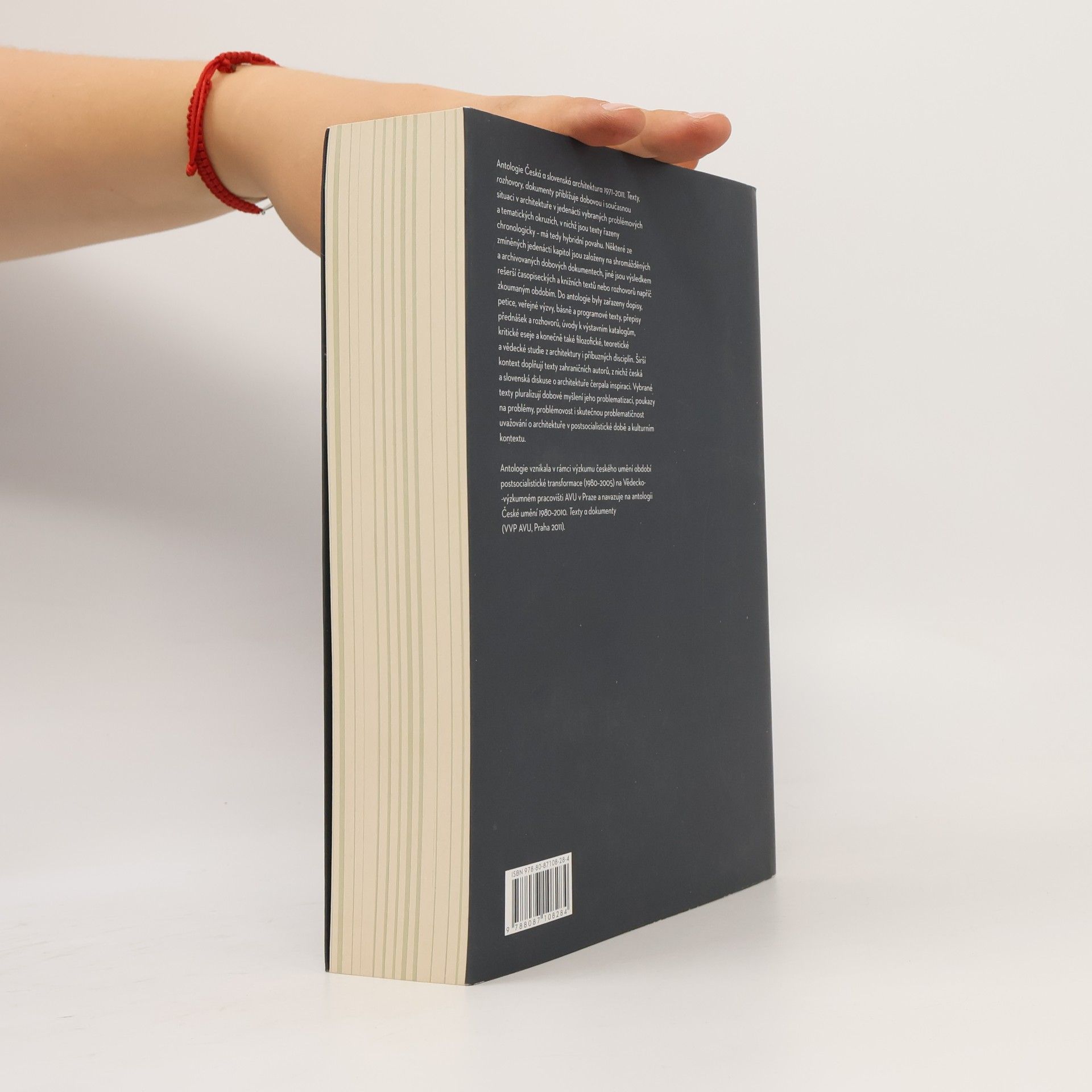 Jiří Ševčík Česká a slovenská architektura 1971-2011. Texty, rozhovory, dokumenty