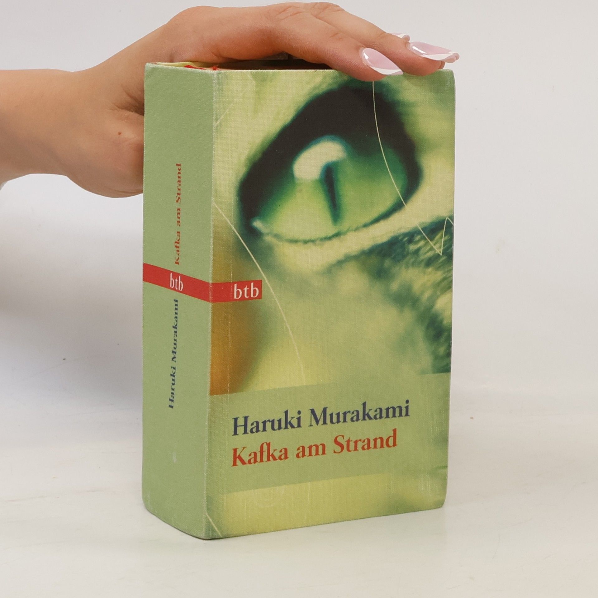 Haruki Murakami Kafka am Strand