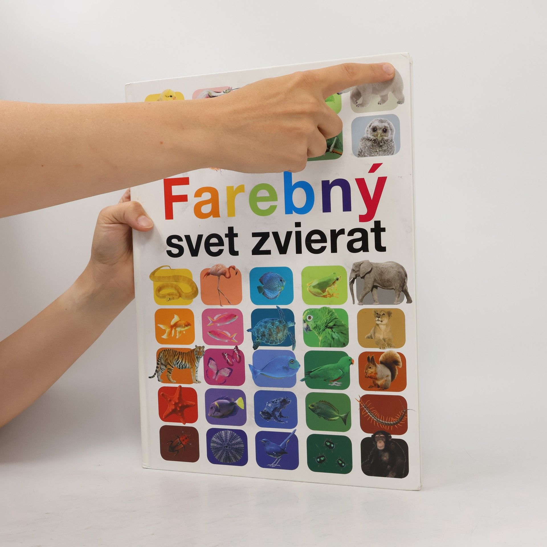 Anita Ganeri Farebný svet zvierat