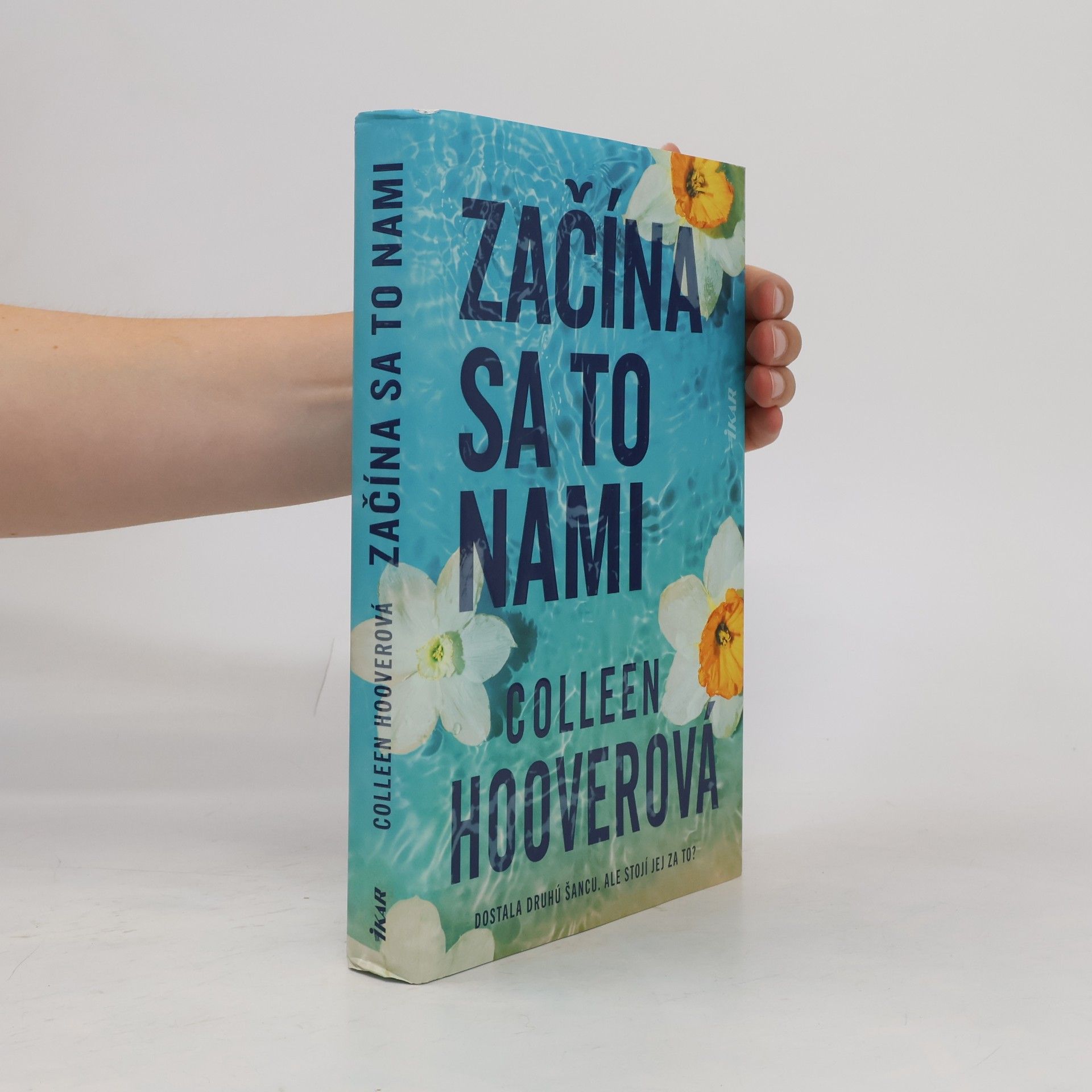 Colleen Hoover Začína sa to nami