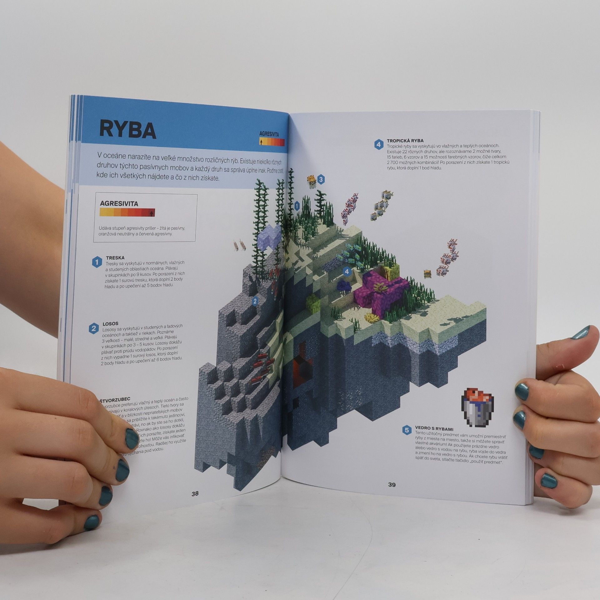 Kolektiv autorů Minecraft: hráčská kolekcia 2 box (4 svazky v boxu)