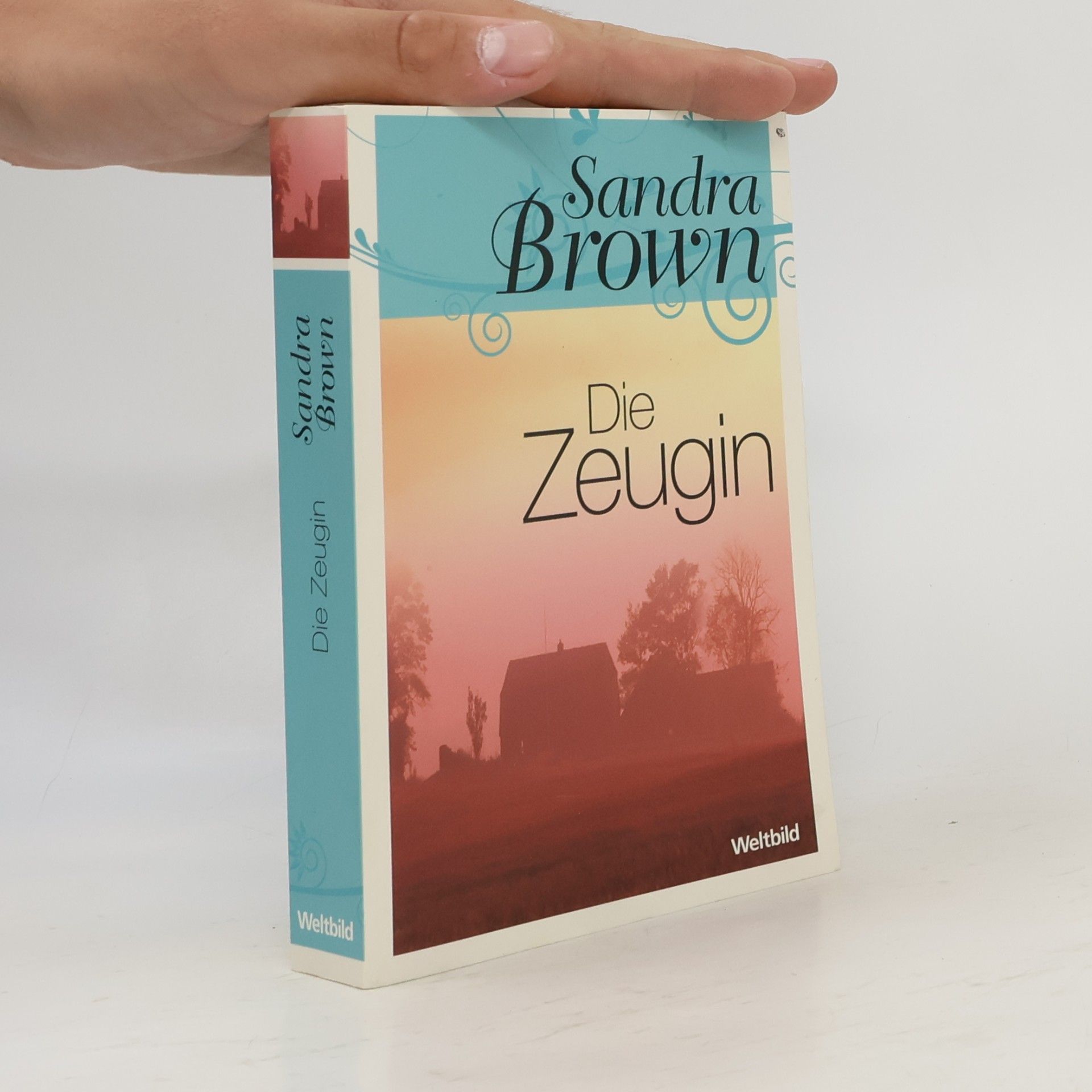 Sandra Brown Die Zeugin