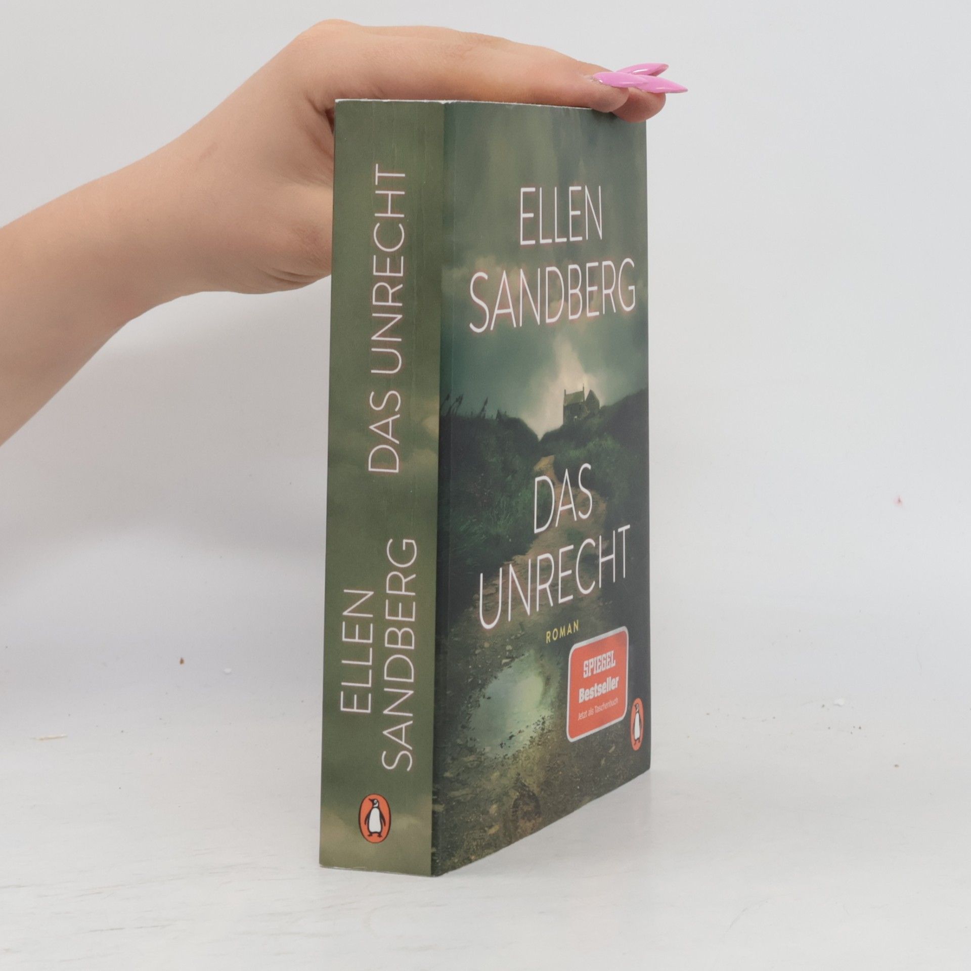 Ellen Sandberg Das Unrecht