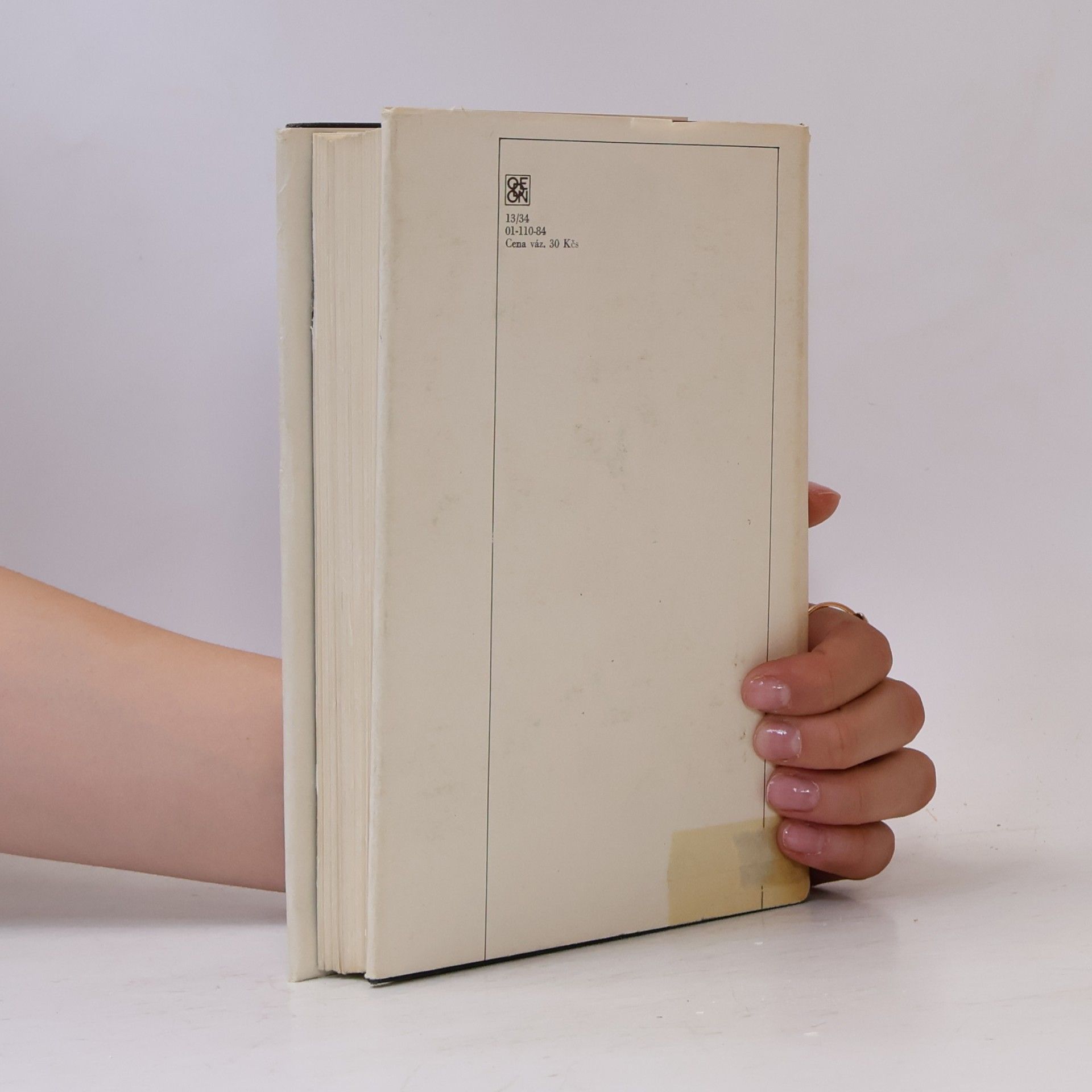 Jean Giono Husar na střeše