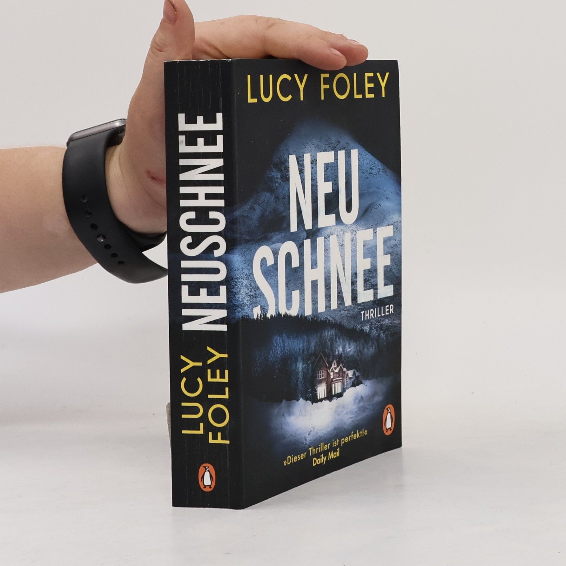 Lucy Foley Neuschnee