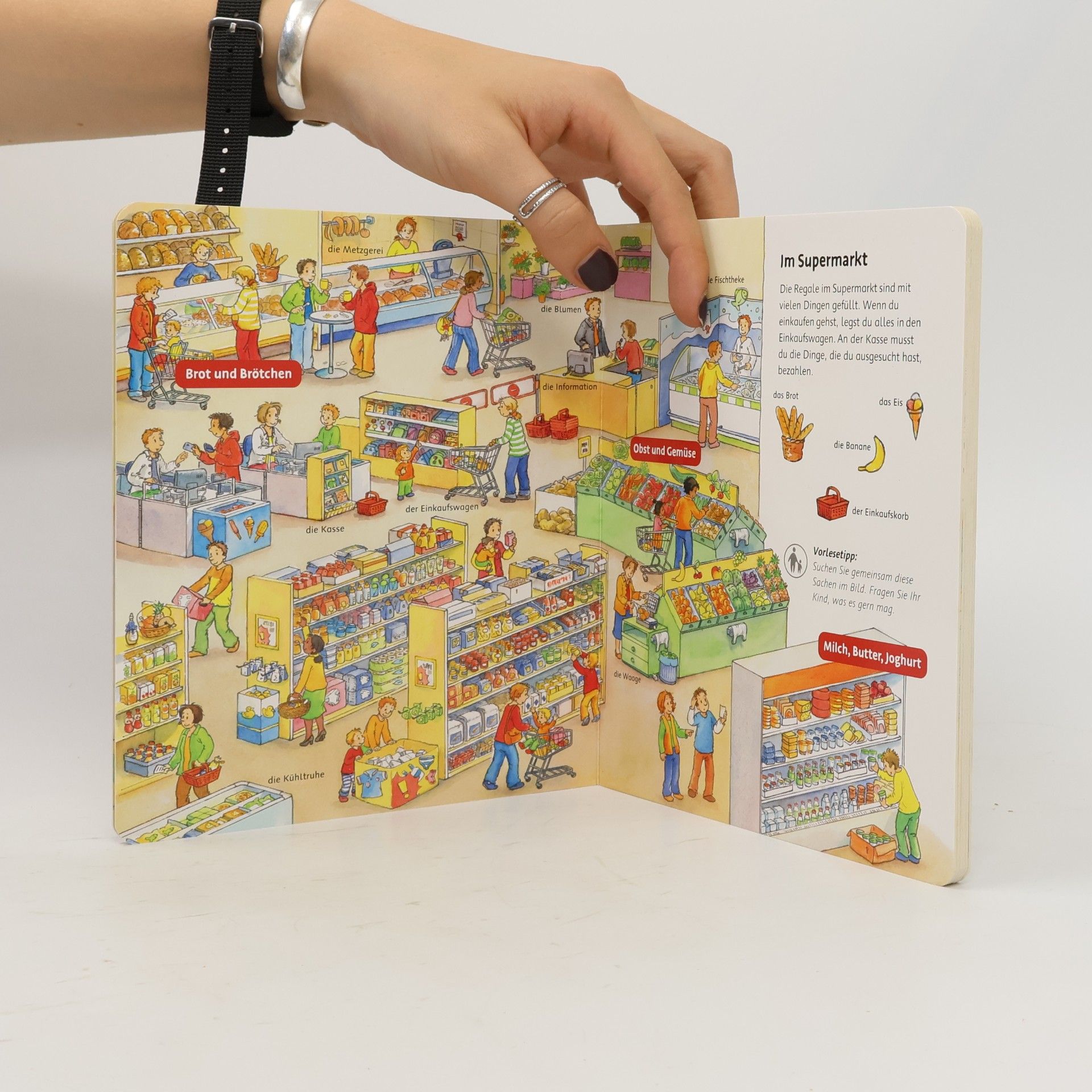 Autorenkollektiv Mein großes Bilder- Wörterbuch