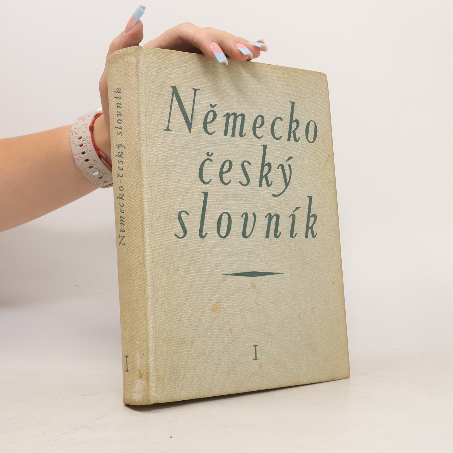 Autorenkollektiv Německo český slovník I