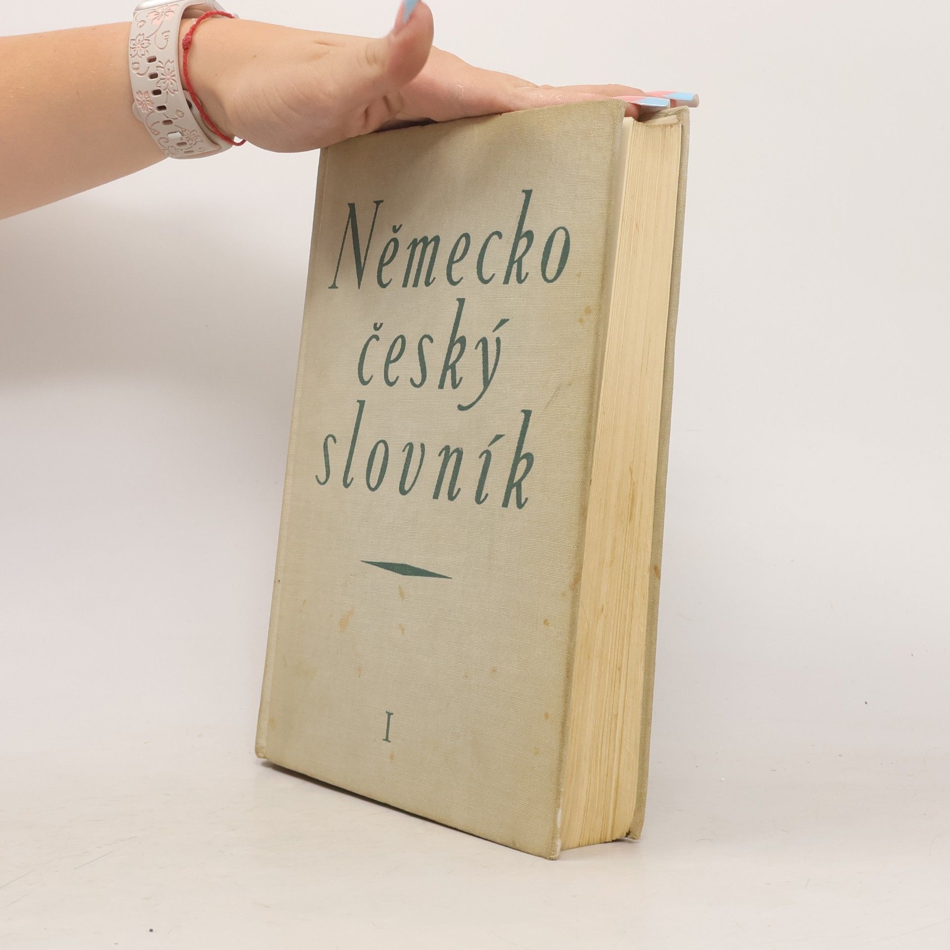 Autorenkollektiv Německo český slovník I