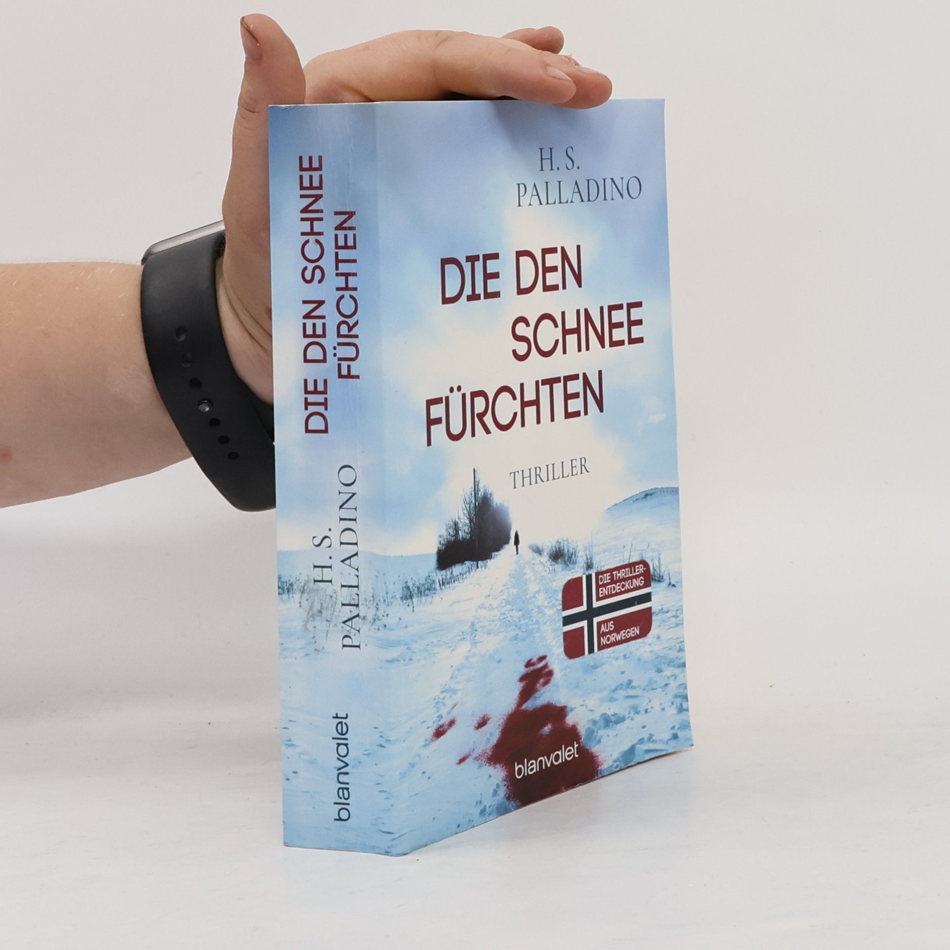H.S. Palladino Die den Schnee fürchten
