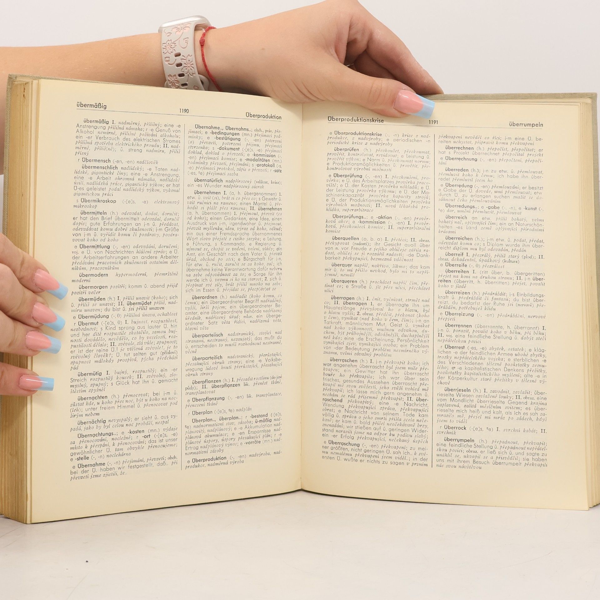 Autorenkollektiv Německo-český slovník II. M-Z