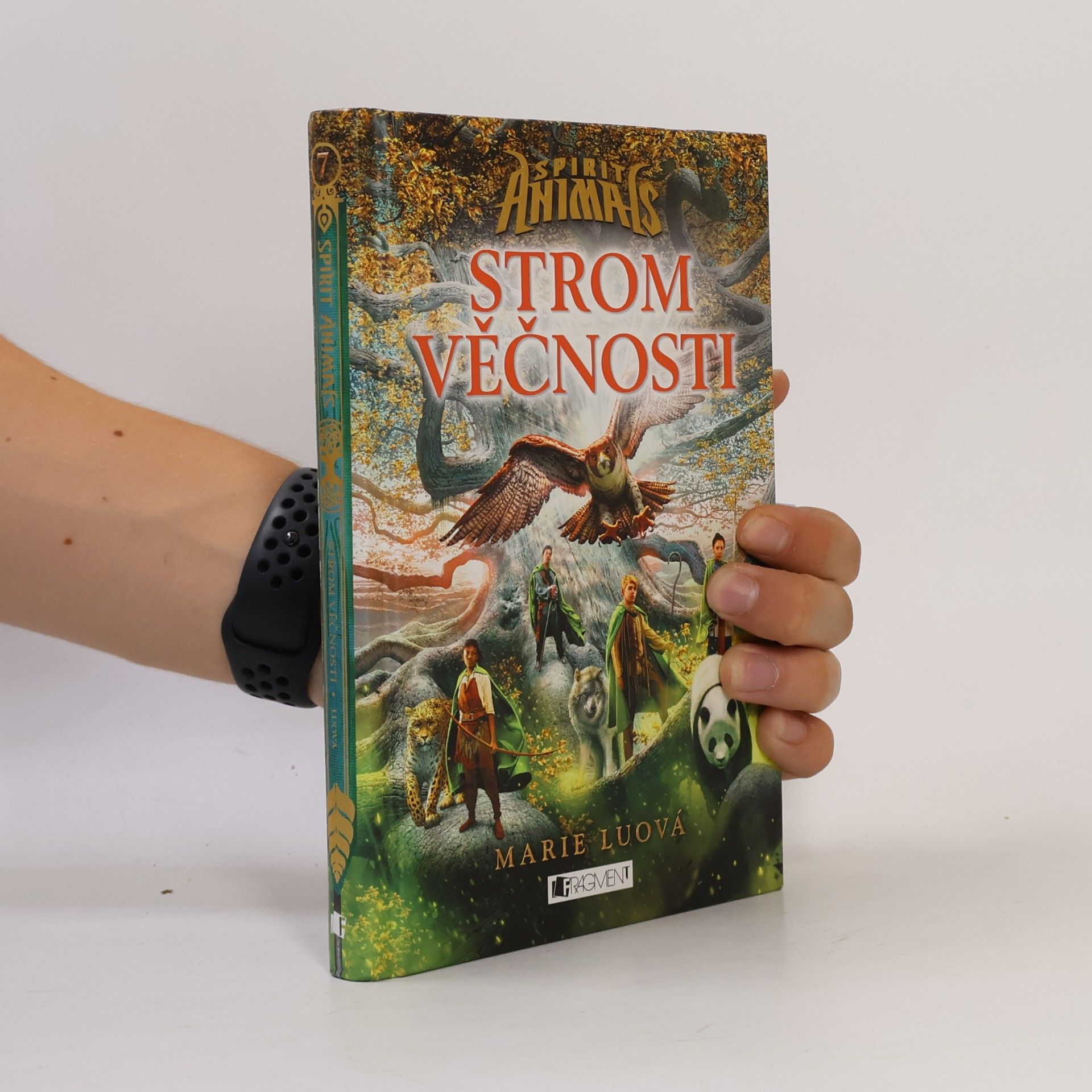 Marie Lu Strom věčnosti