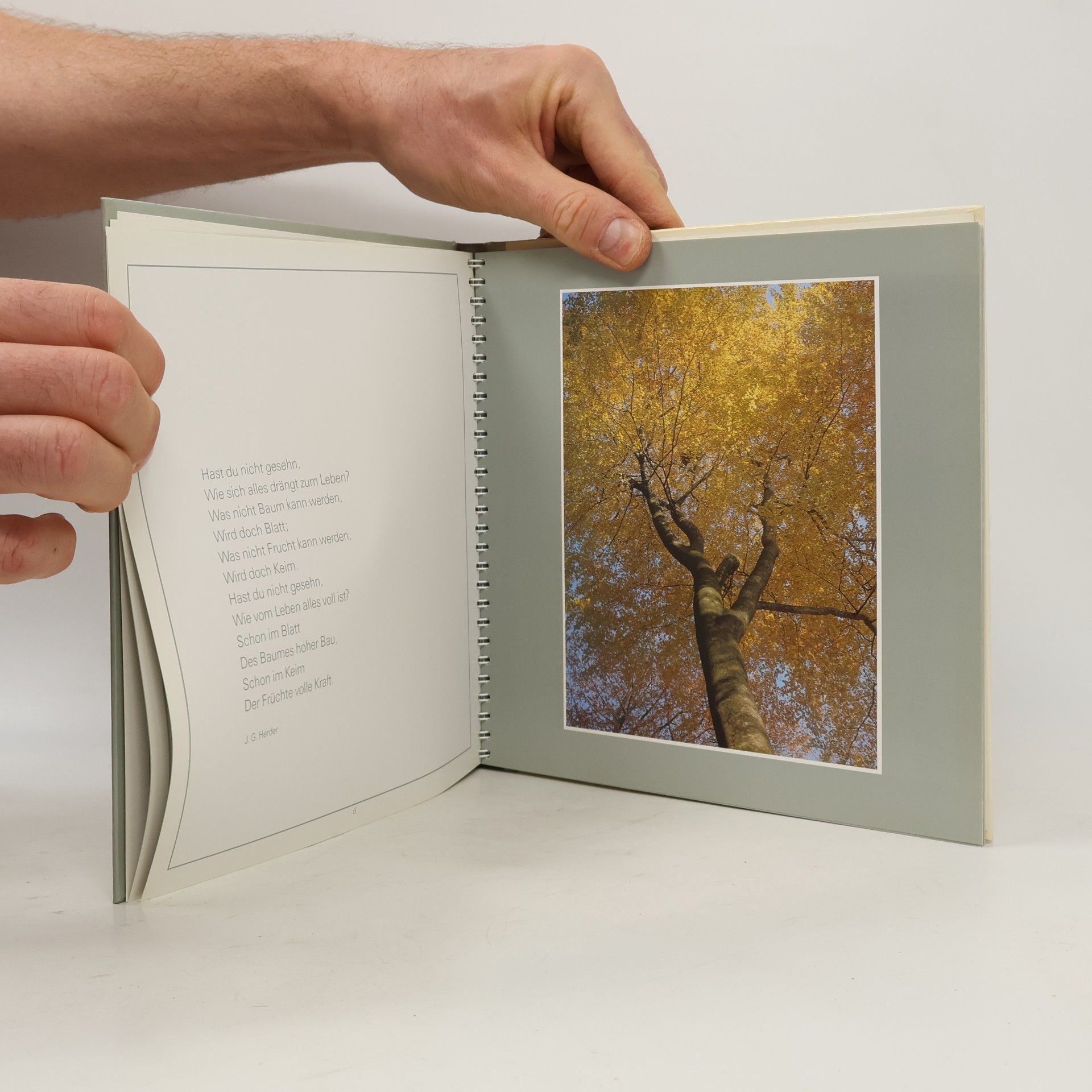 Various authors Zeit der Stille
