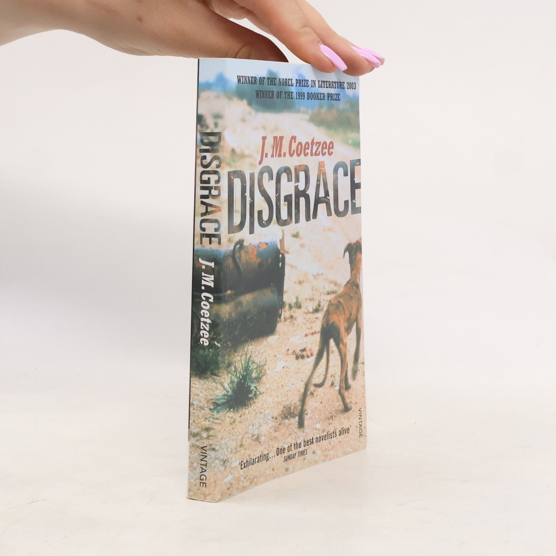 J. M. Coetzee Disgrace