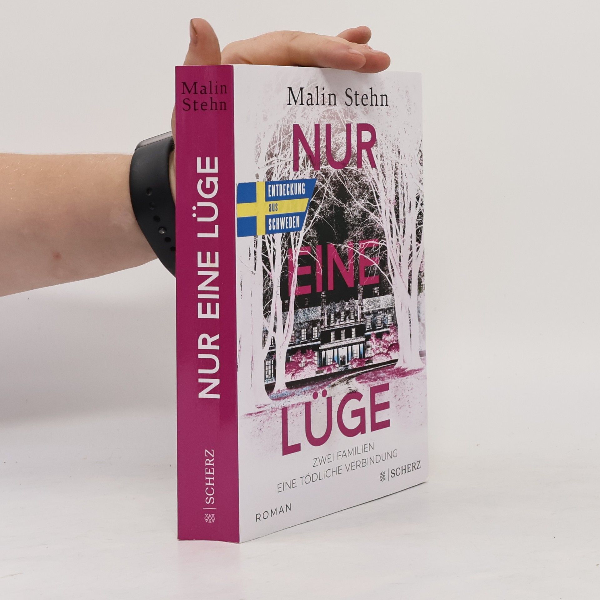 Nur eine Lüge – Zwei Familien, eine tödliche Verbindung