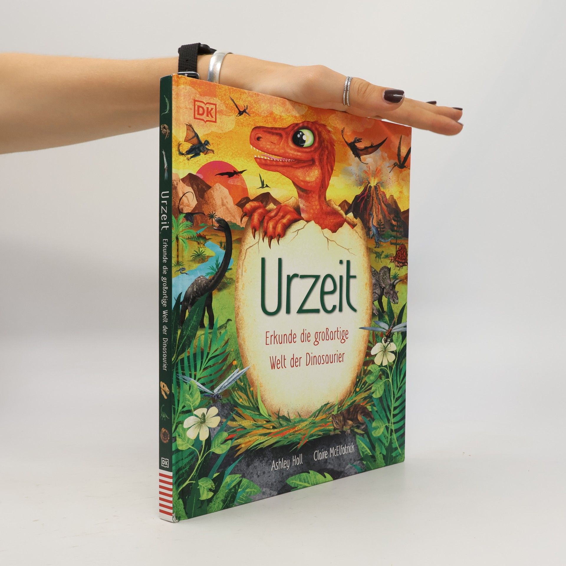 Claire Mcelfatrick Urzeit. Erkunde die großartige Welt der Dinosaurier. Spannende Fakten. Für Kinder ab 7 Jahren