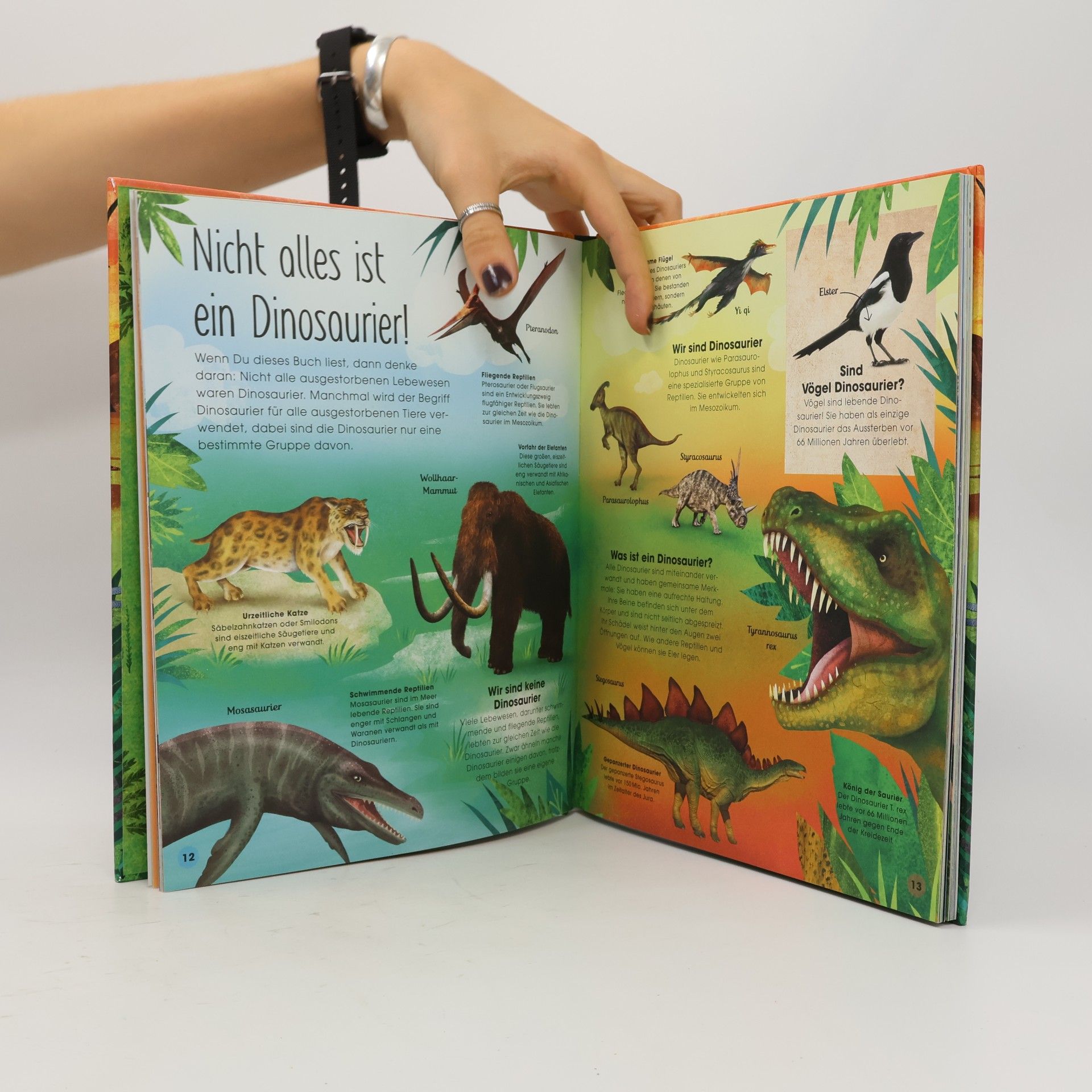 Ashley Hall Urzeit. Erkunde die großartige Welt der Dinosaurier. Spannende Fakten. Für Kinder ab 7 Jahren