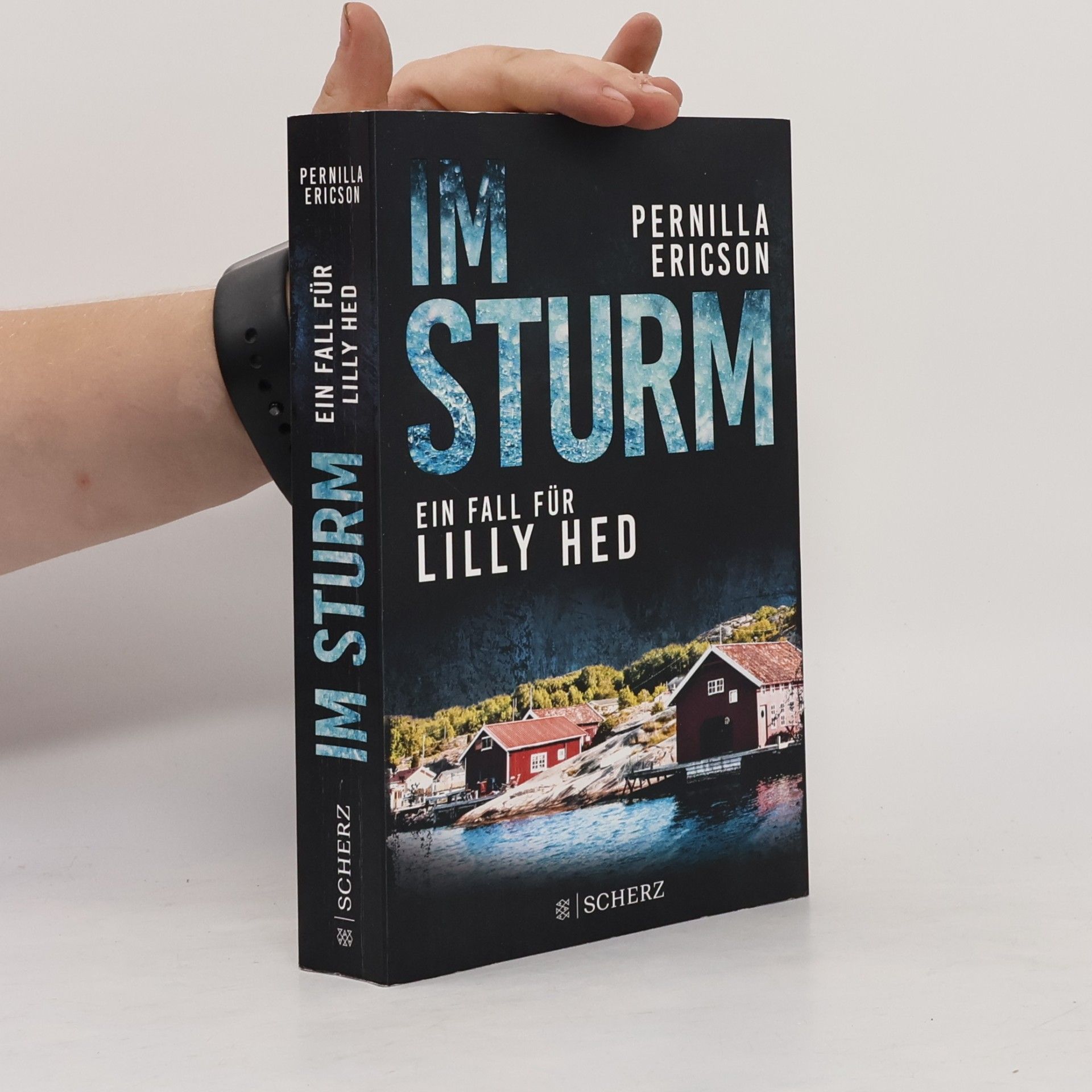 Pernilla Ericson Im Sturm