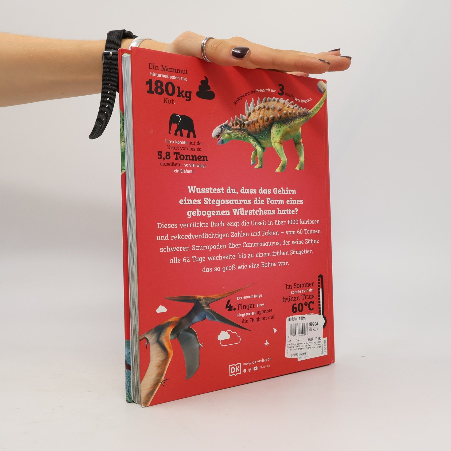 Eva Sixt Unsere Welt in Zahlen. Dinosaurier und andere Tiere der Urzeit