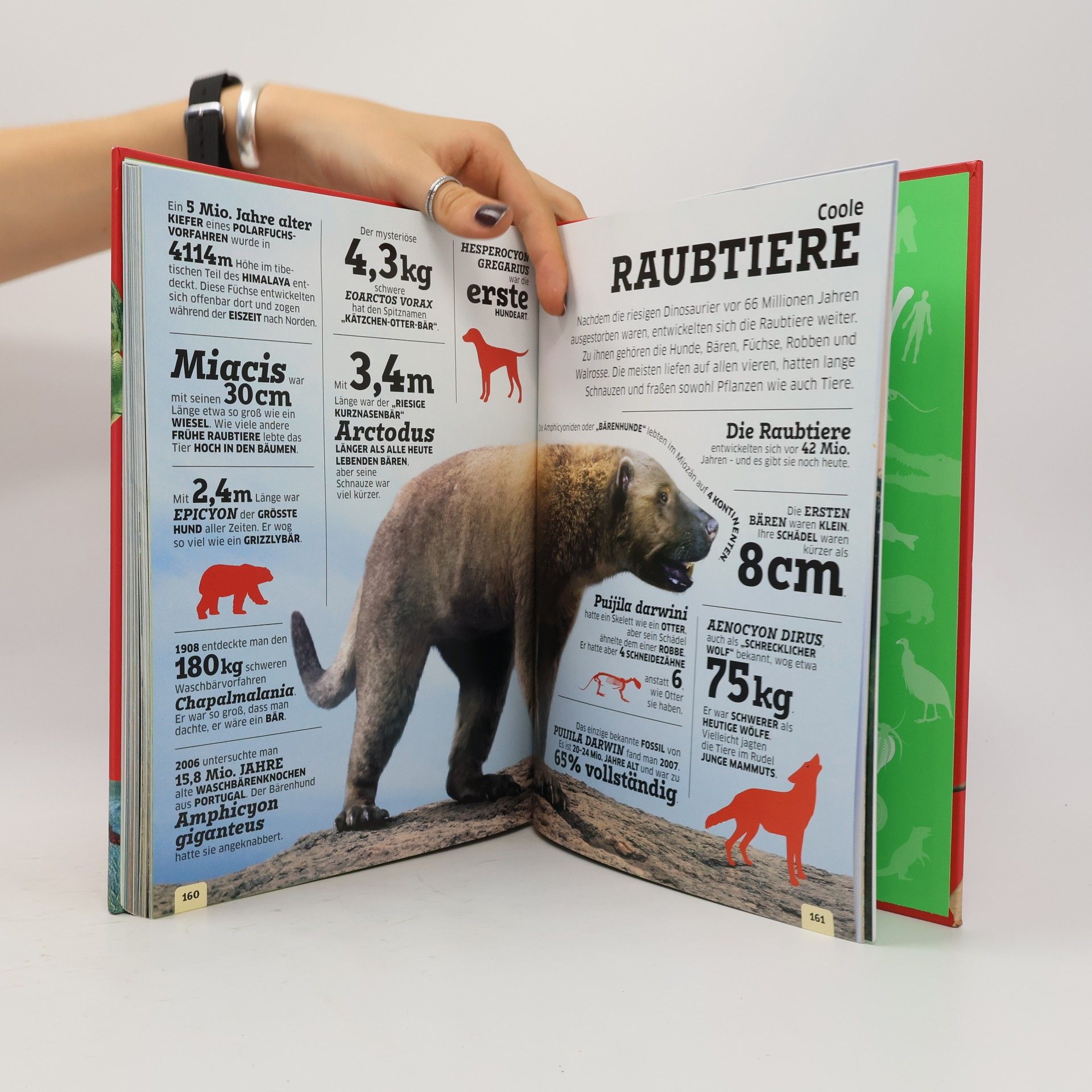 Eva Sixt Unsere Welt in Zahlen. Dinosaurier und andere Tiere der Urzeit