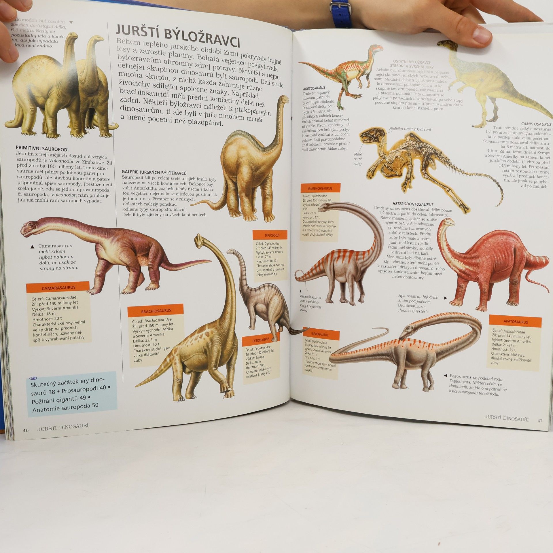 Rupert Matthews Světem dinosaurů