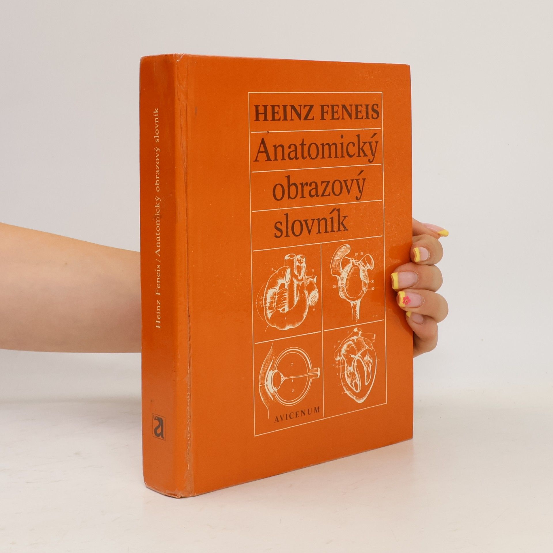 Heinz Feneis Anatomický obrazový slovník
