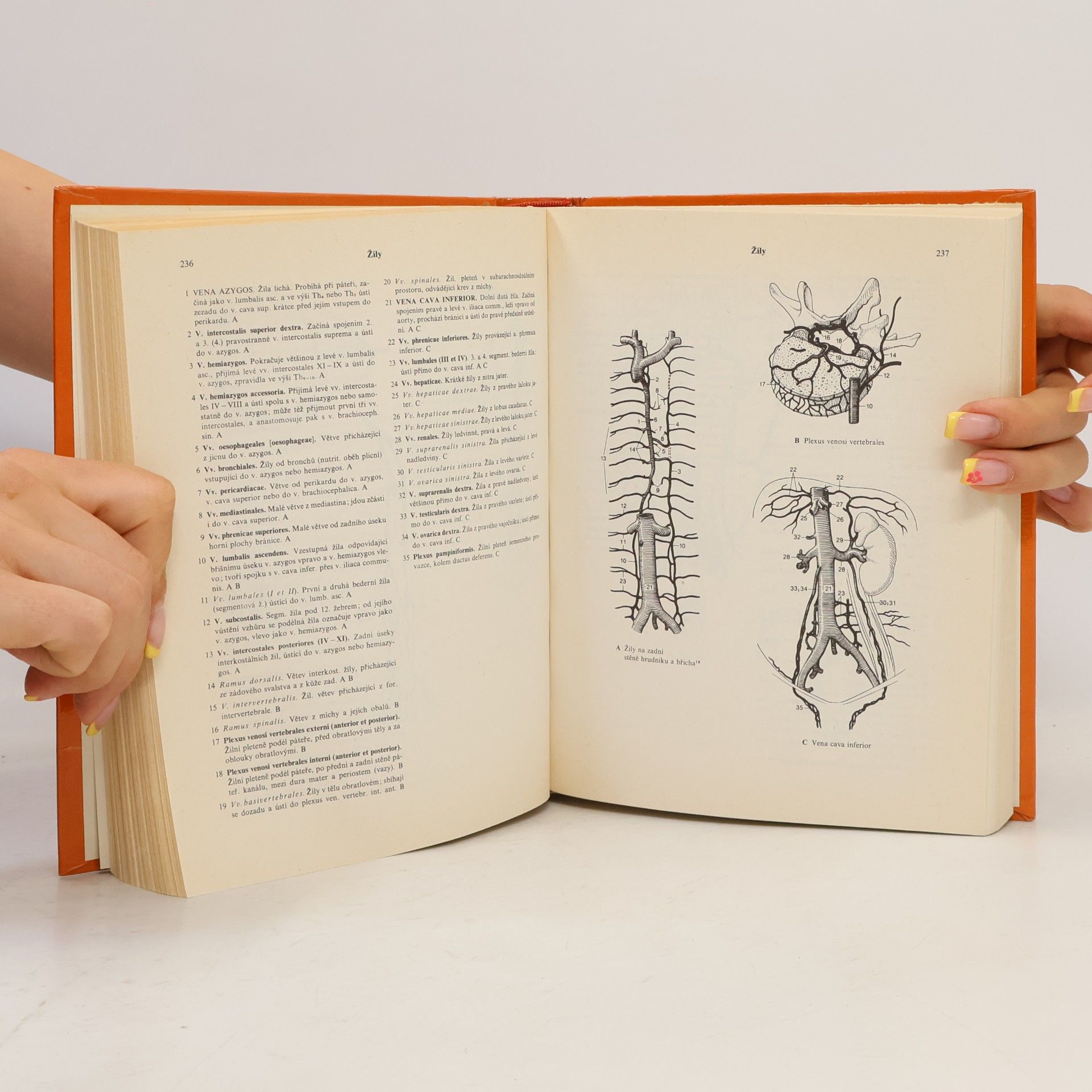Heinz Feneis Anatomický obrazový slovník