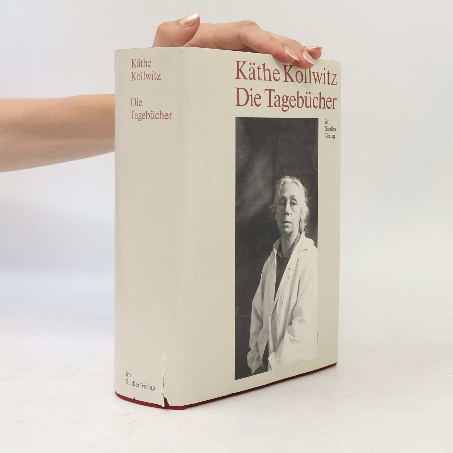 Käthe Kollwitz Die Tagebücher