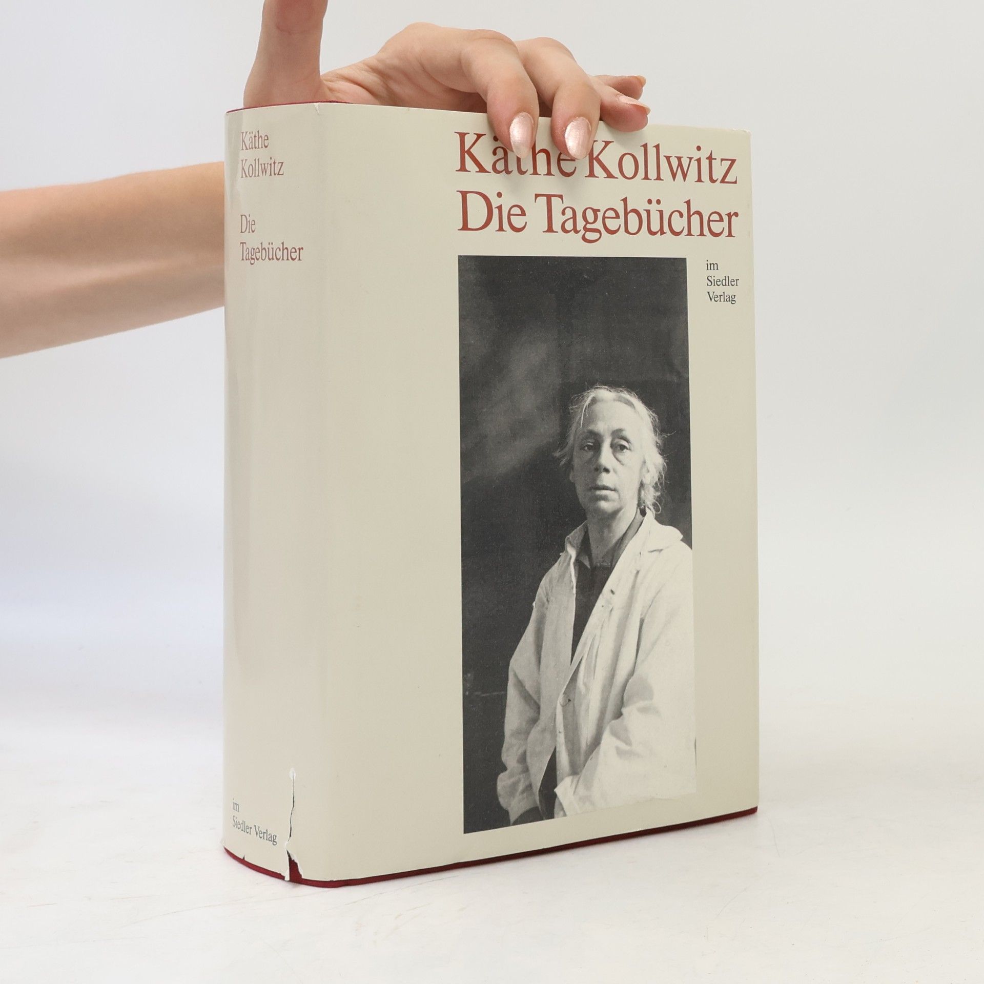 Käthe Kollwitz Die Tagebücher