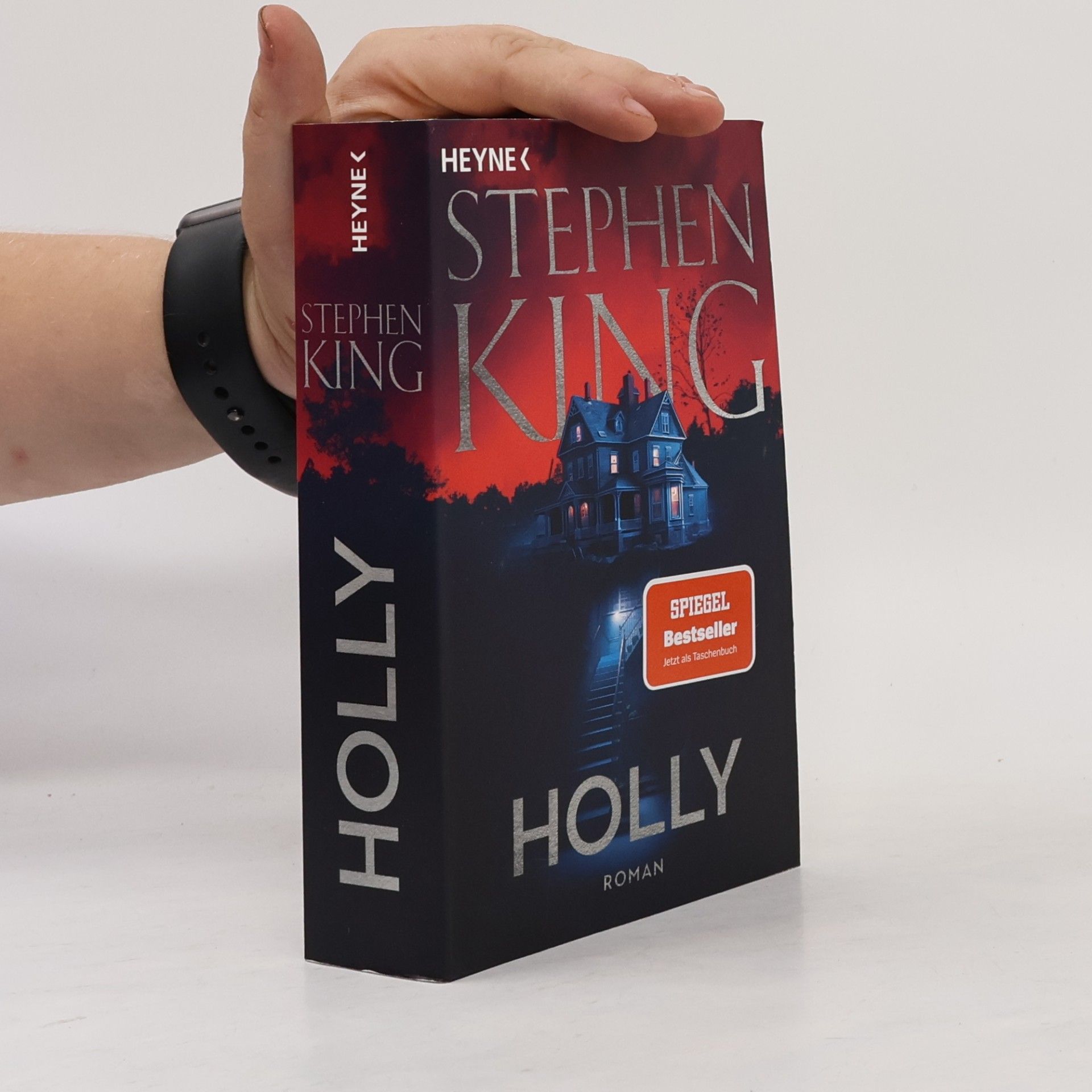 Stephen King Holly