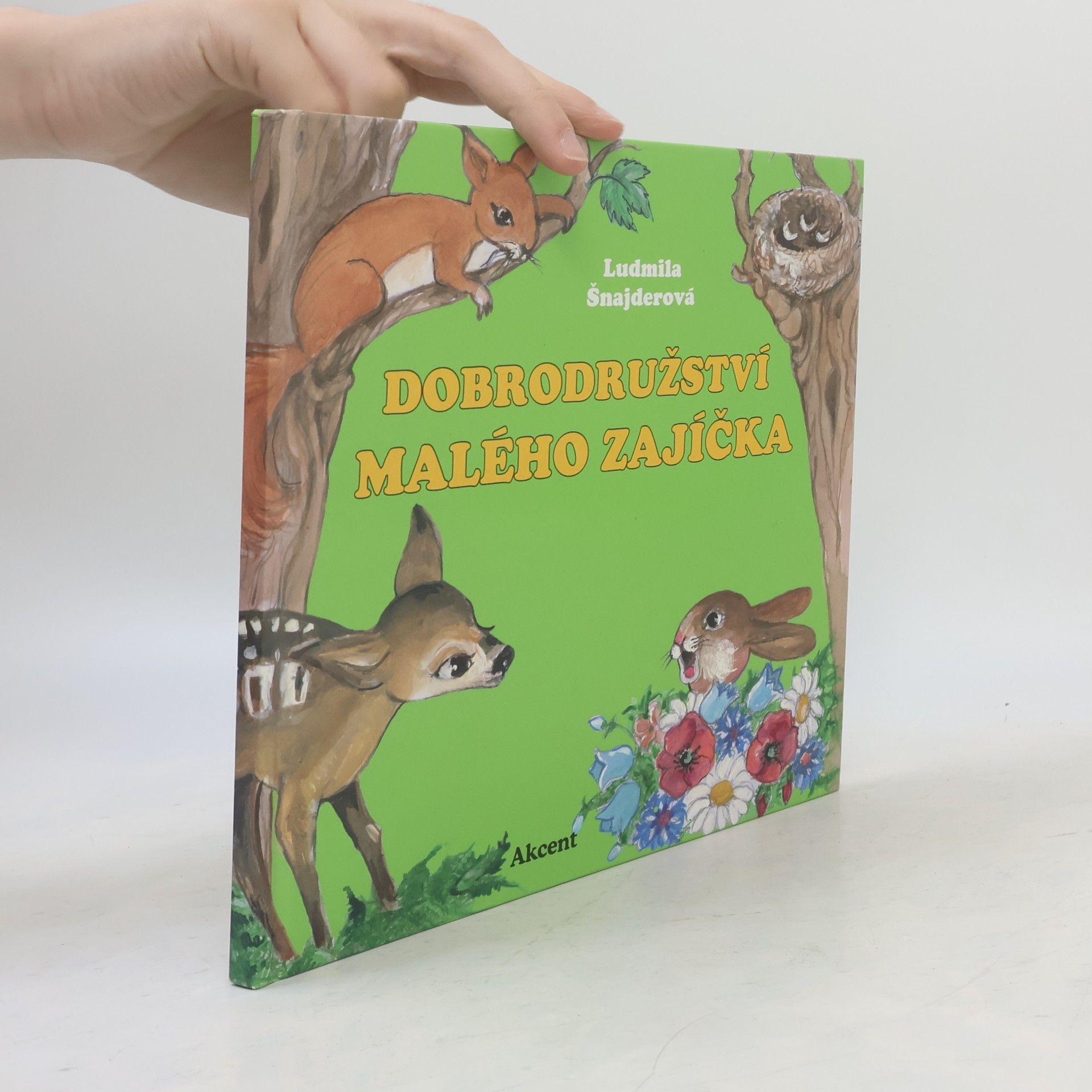 Ludmila Šnajderová Dobrodružství malého zajíčka