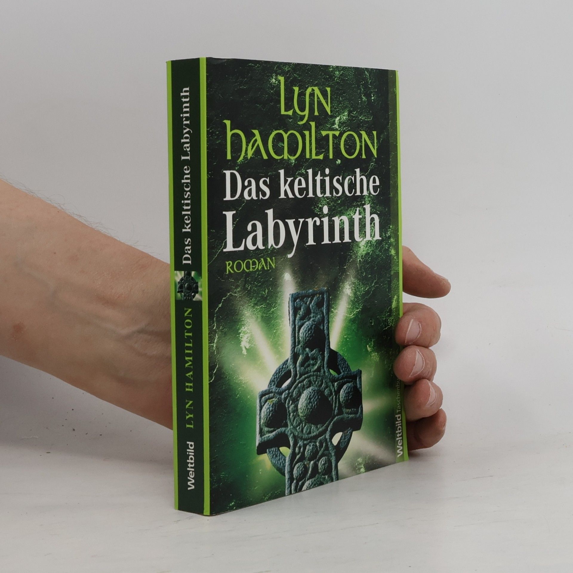 Lyn Hamilton Das keltische Labyrinth