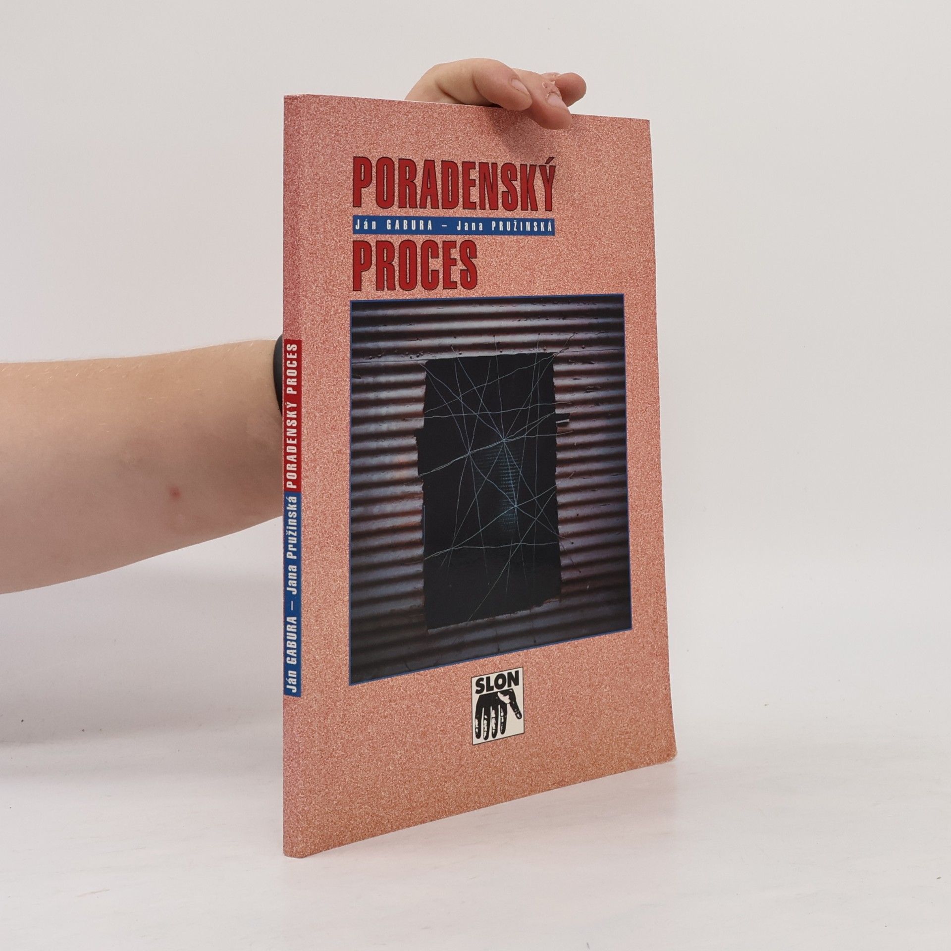 Jana Pružinská Poradenský proces