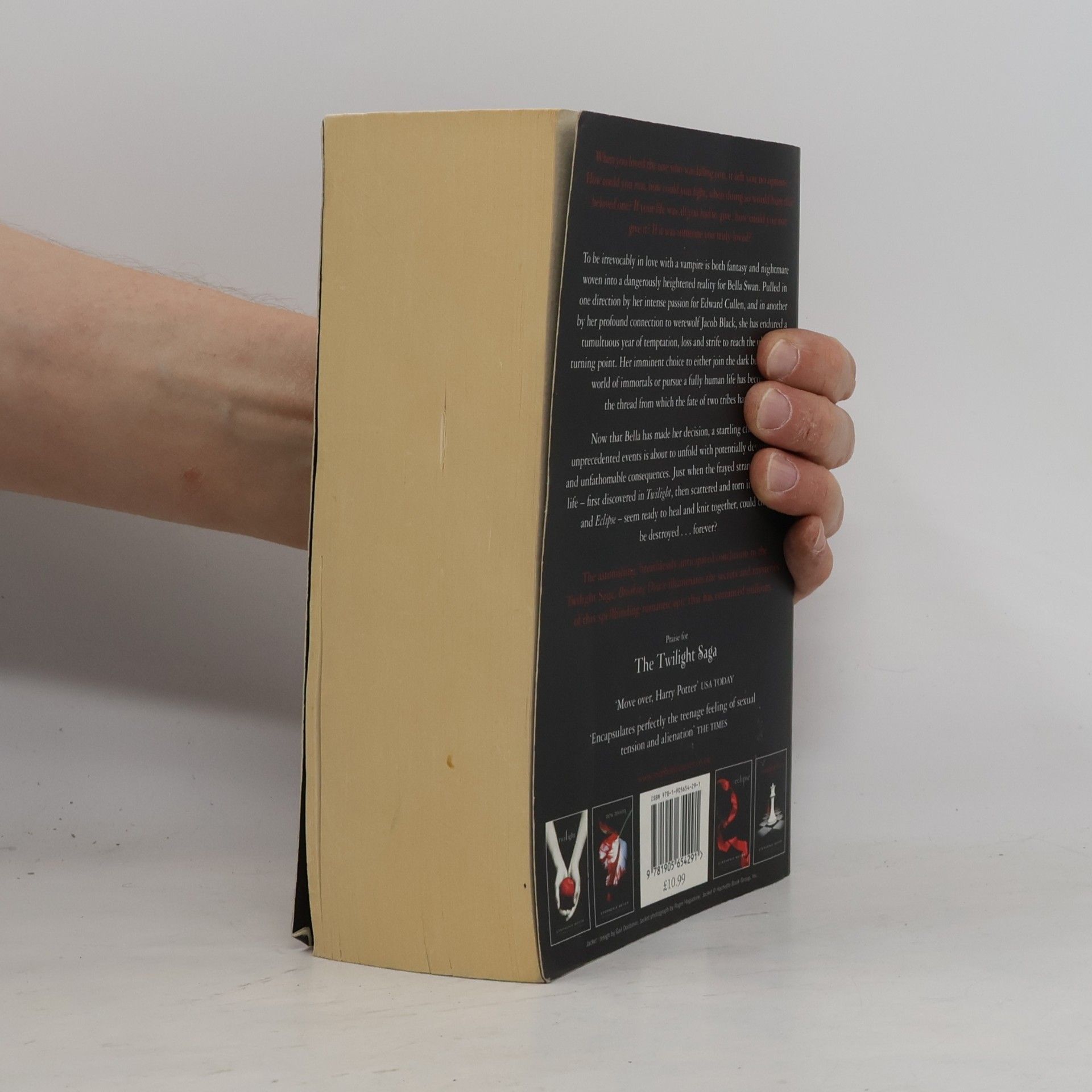 Stephenie Meyer Breaking Dawn