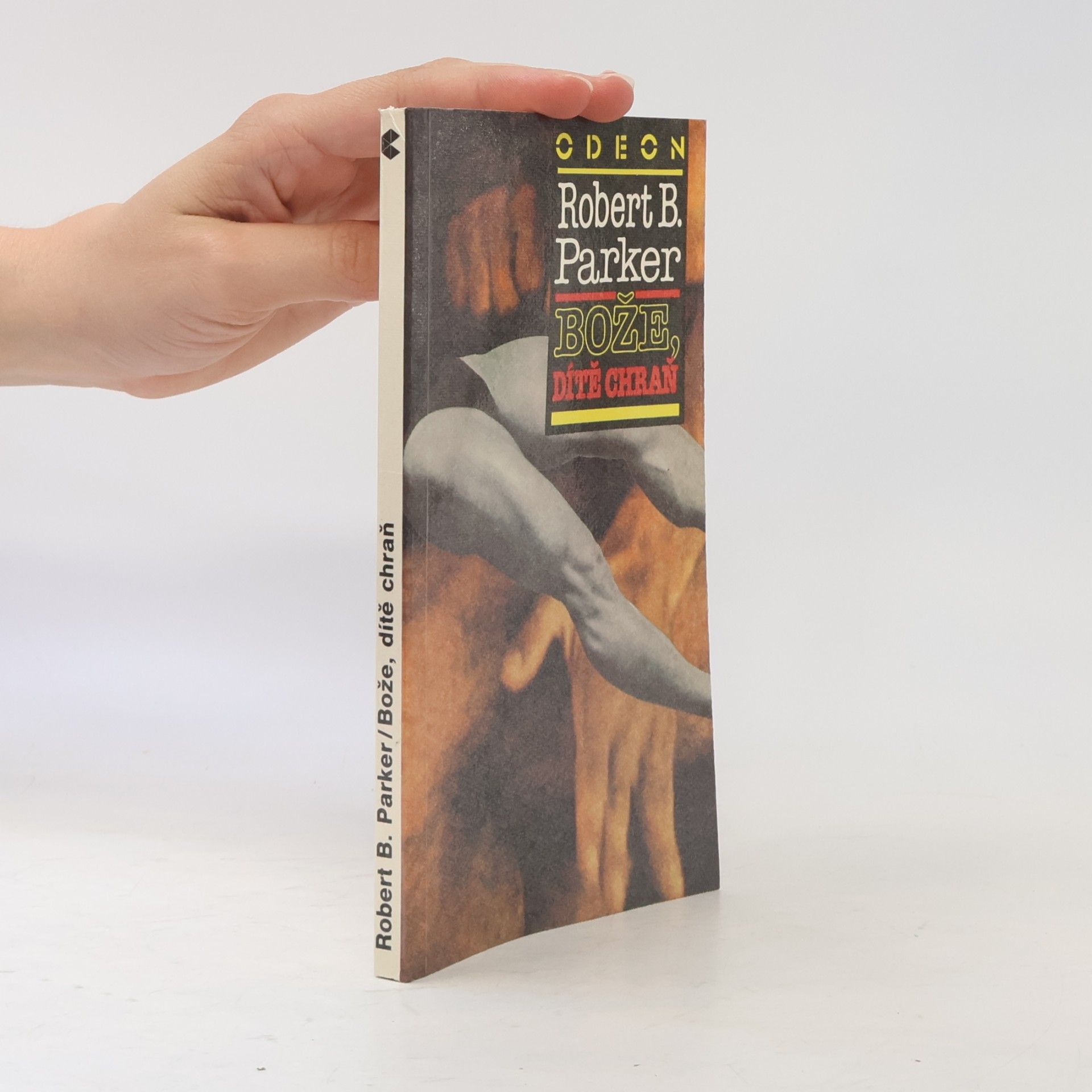 Robert B. Parker Bože, dítě chraň